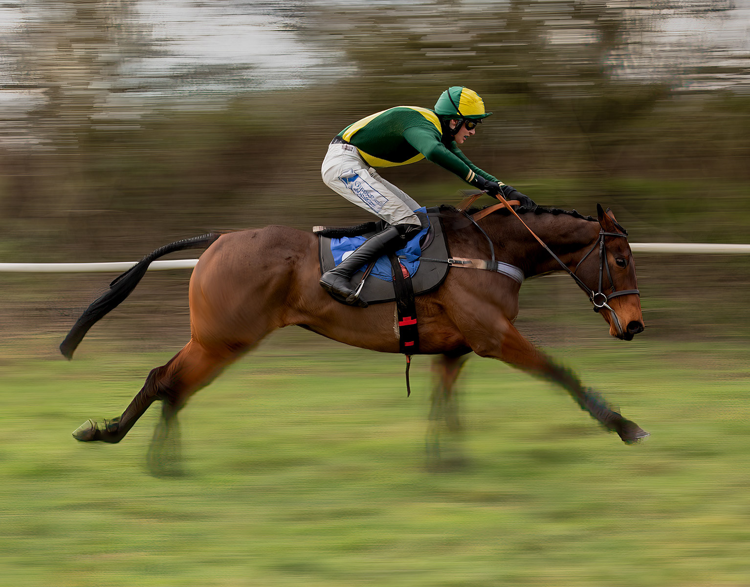 HC - The Home Straight, Ampton Point to Point - Charles Phillips