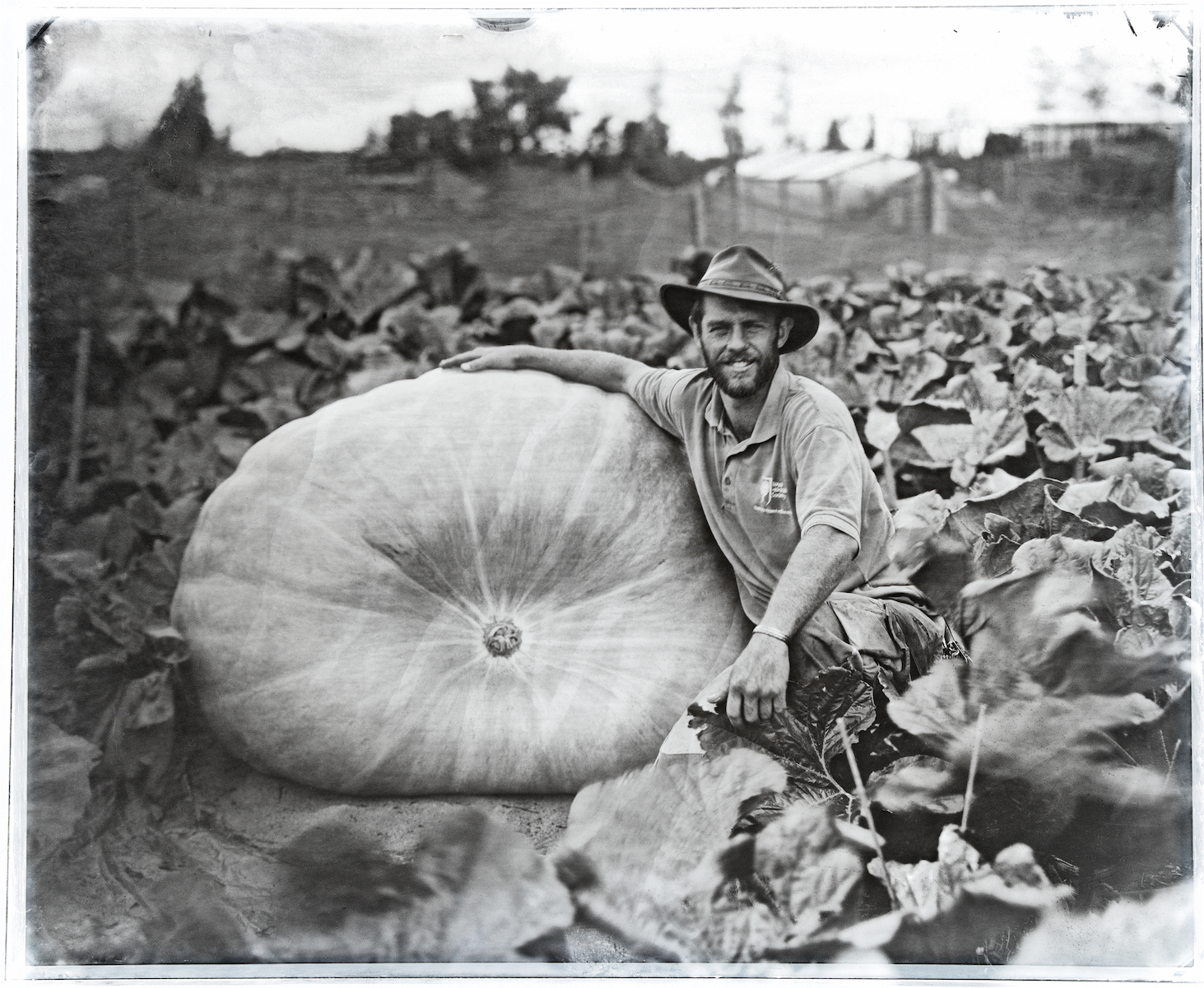 Mattew and his Pumpkin