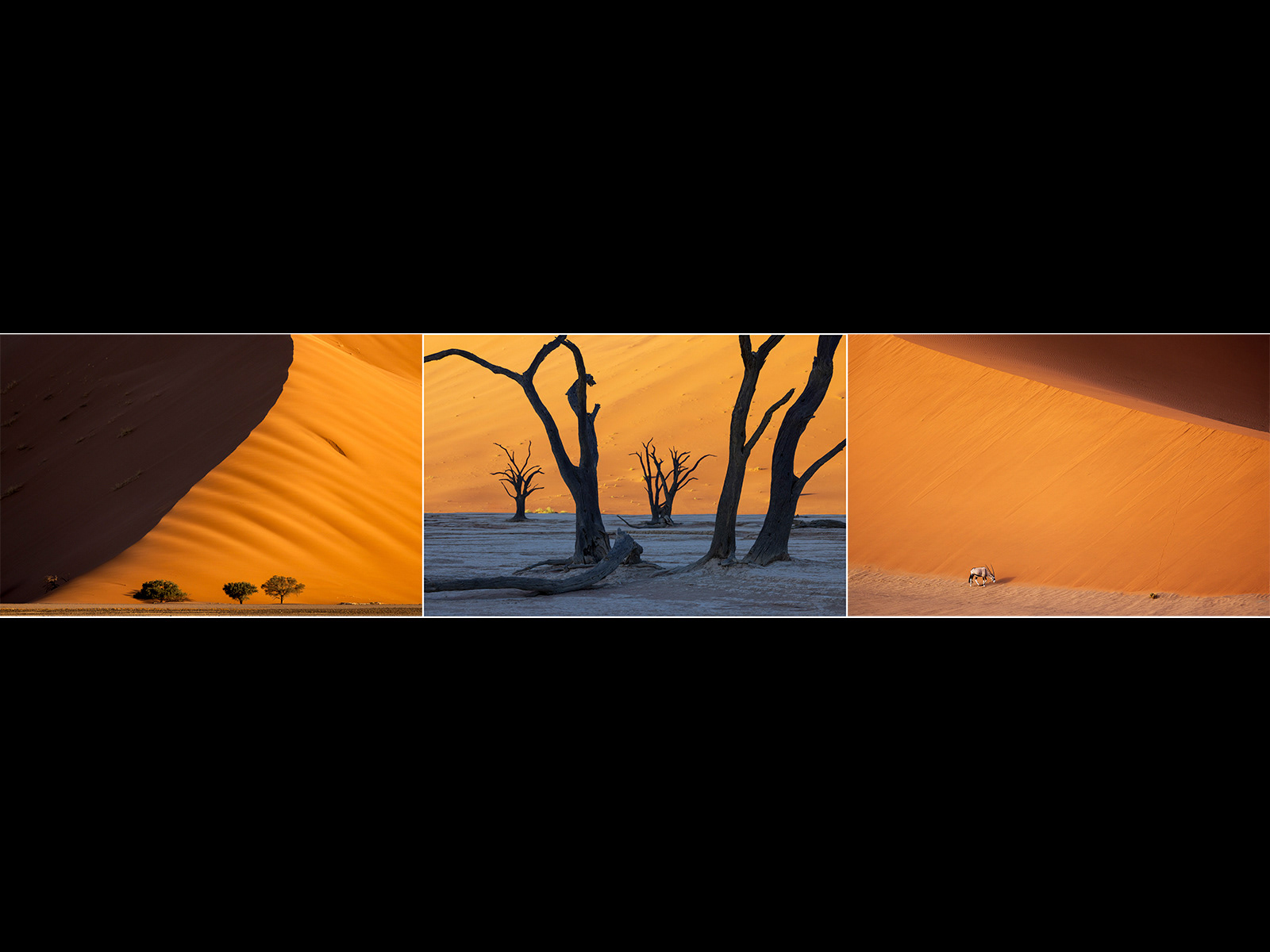 3rd - Light & Shade - Justin Minns