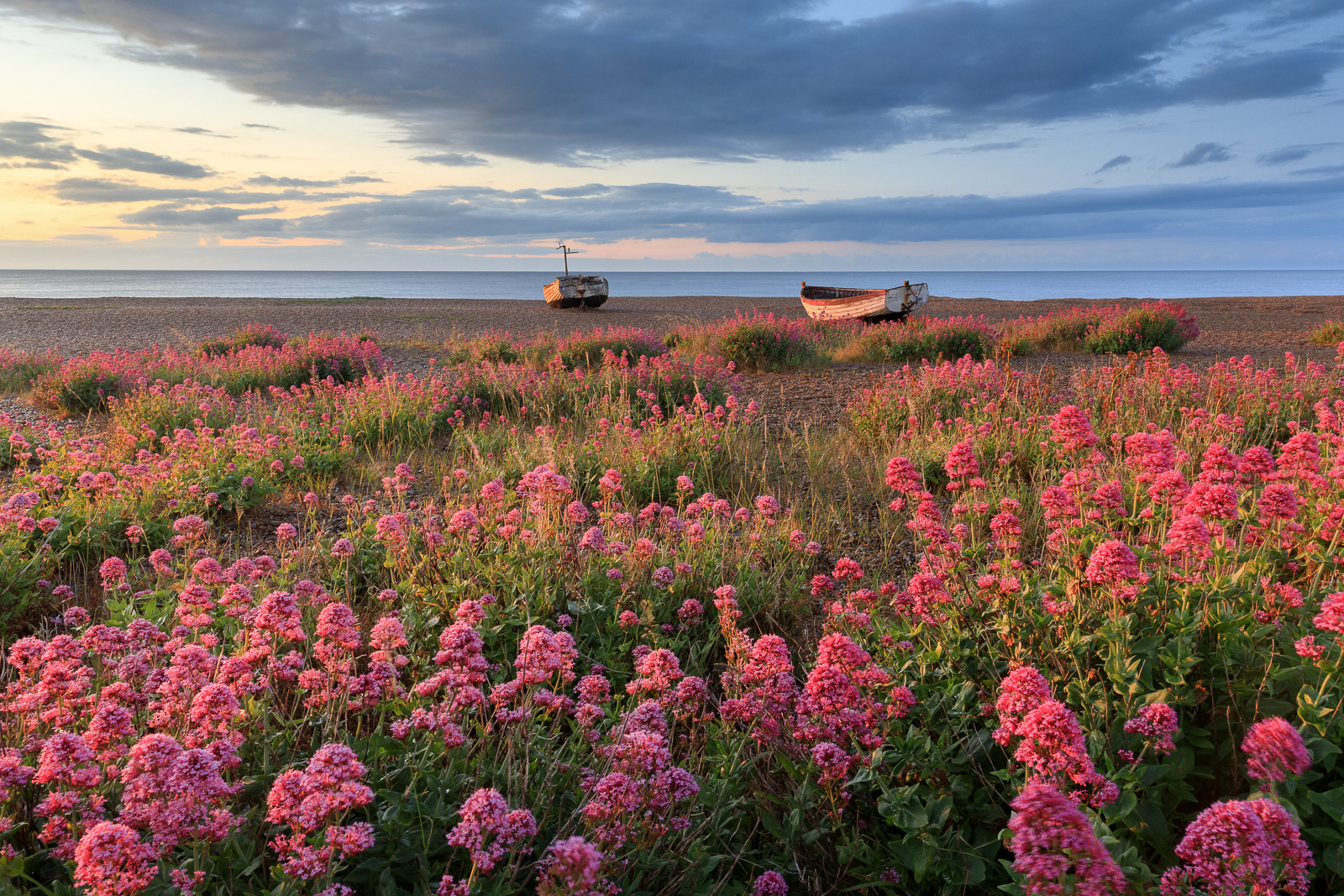 Suffolk in Summer