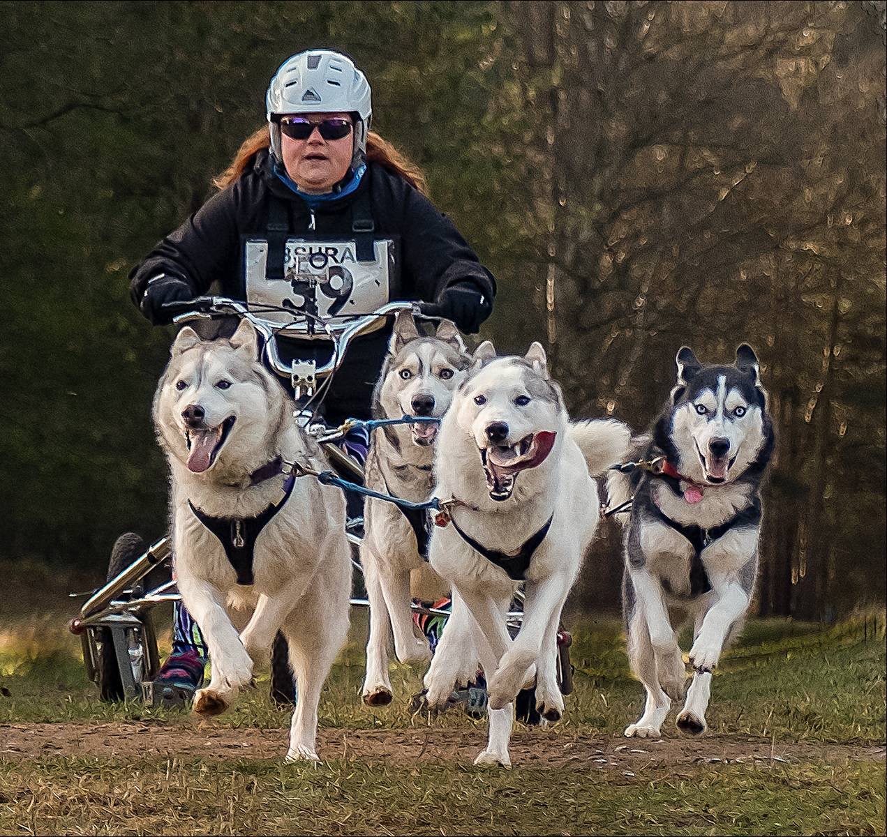 3rd - Dog Power - Mike Randall
