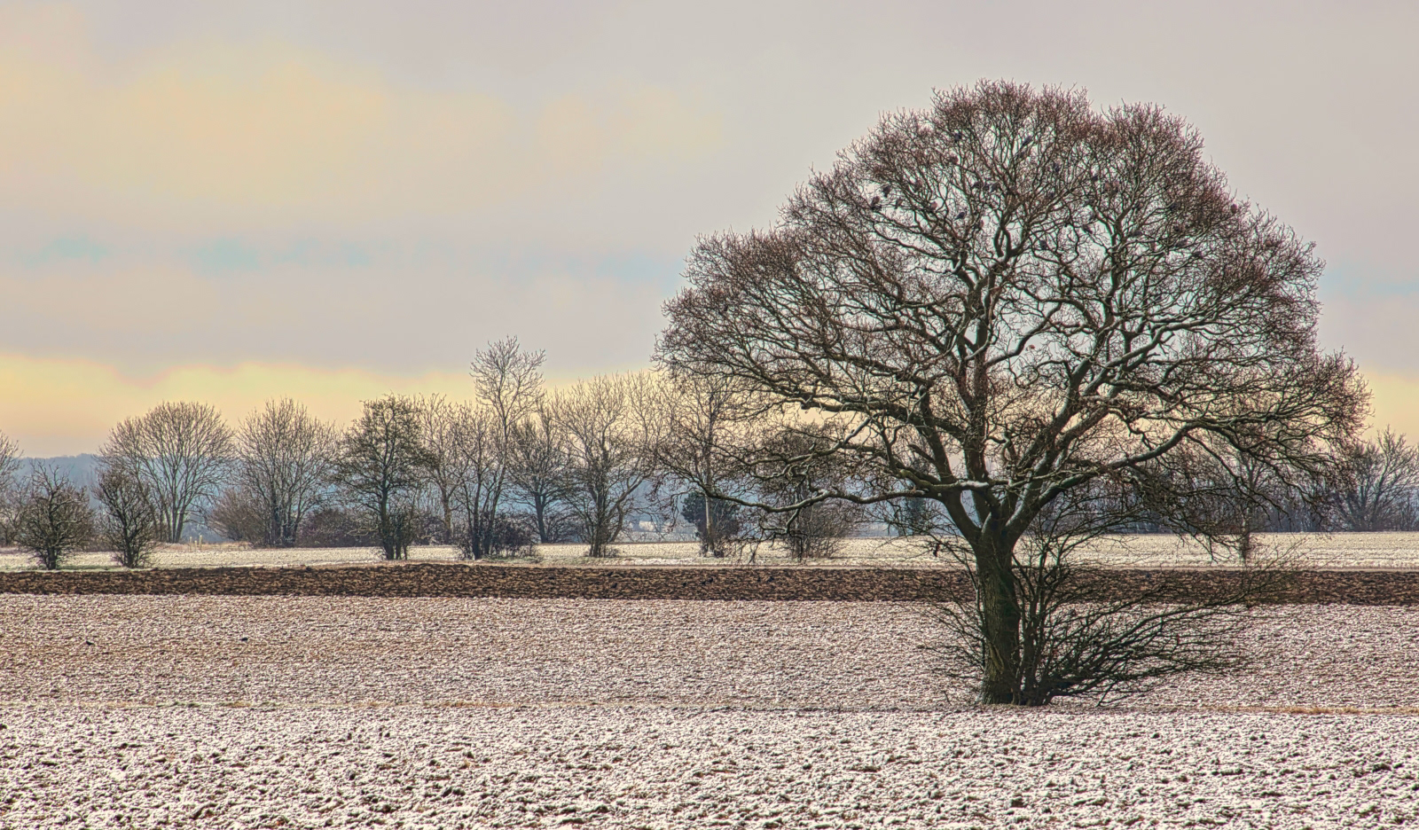 1st INT - Walsham Winter - Lester Draper