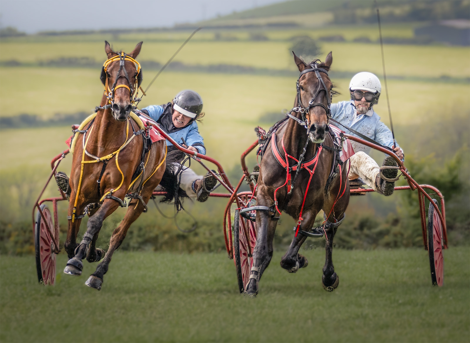 1st - Race for the Finish - Carol Martin