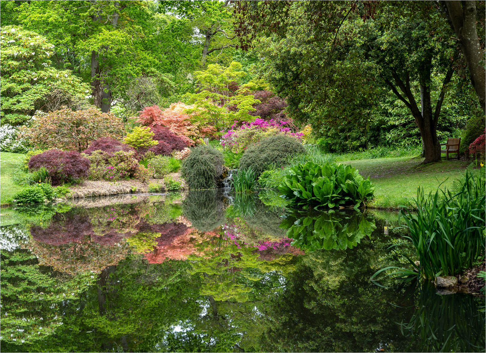 Exbury Gardens