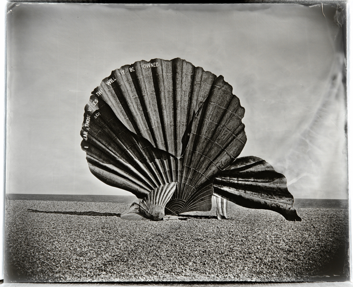 2nd - Scallop, Aldeburgh, A Wet Collodion Ambrotype