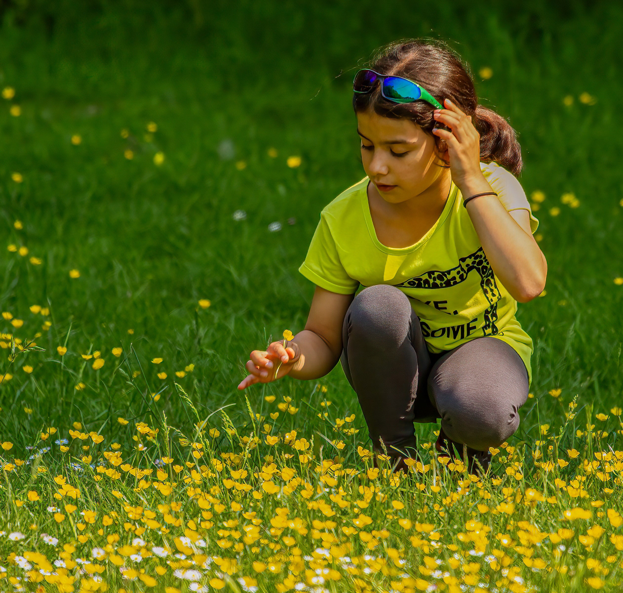 1st INT - Admiring the Buttercups - Ian Petch