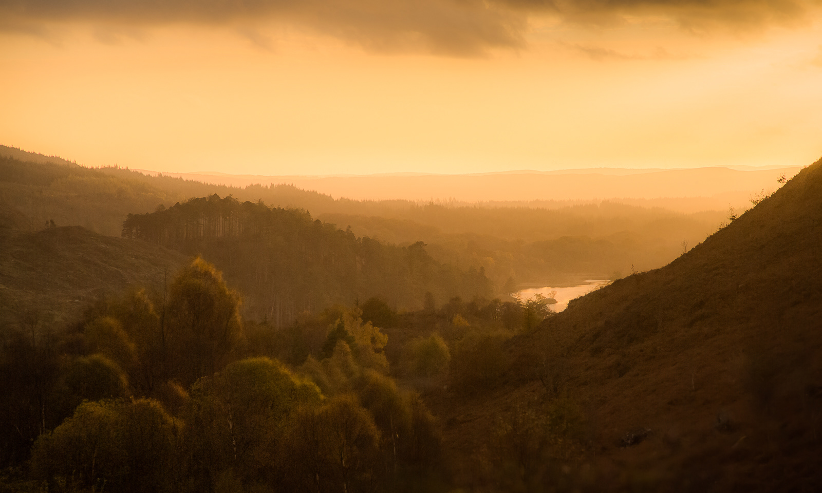 Evening Light, Loch Trool