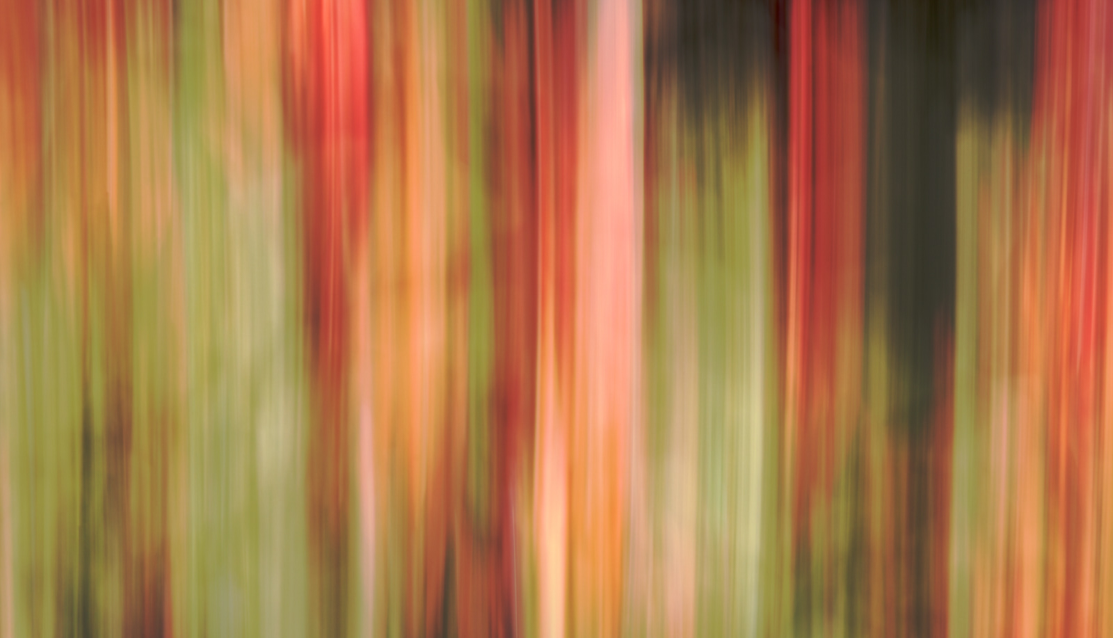 Earth, Wind and Fire