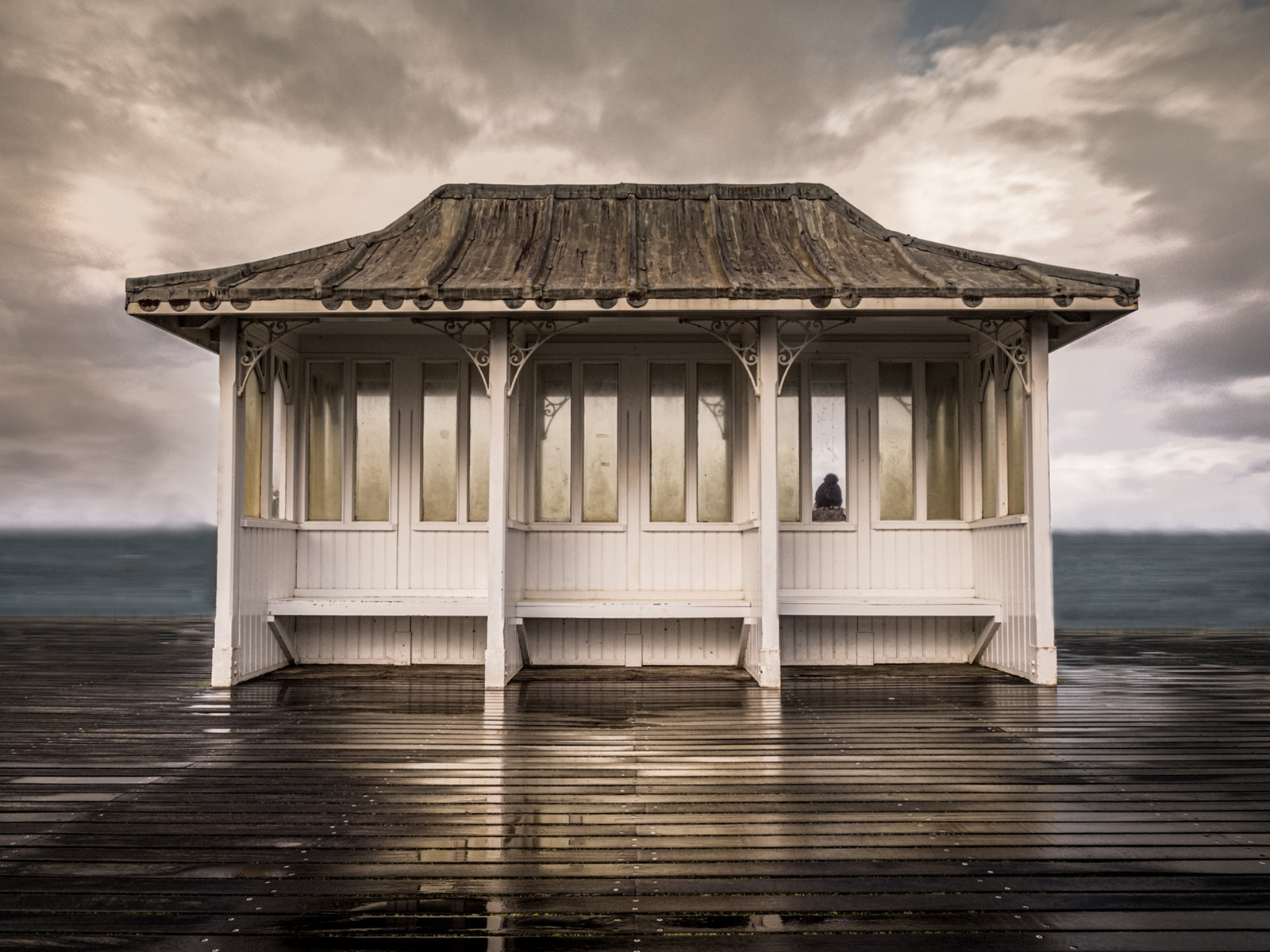 2nd - Looking Out to Sea - Robert Salisbury