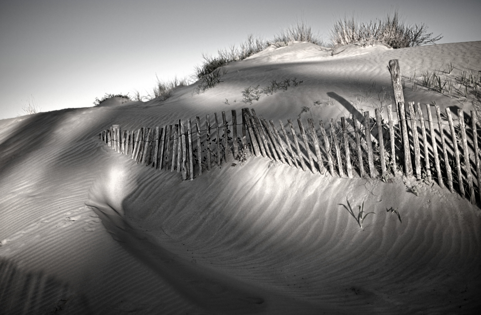 3rd - Camargue Dunes - Chris Madden