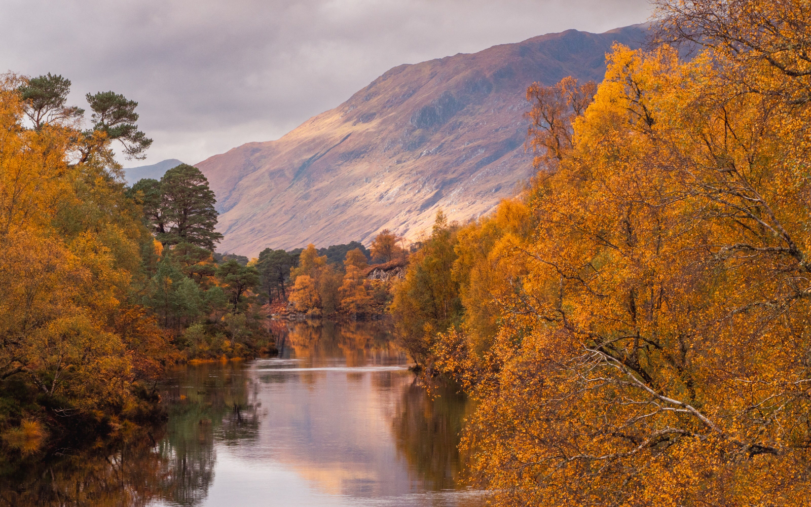 2nd INT - Autumn Colours in Glen Affric - Susan Jones