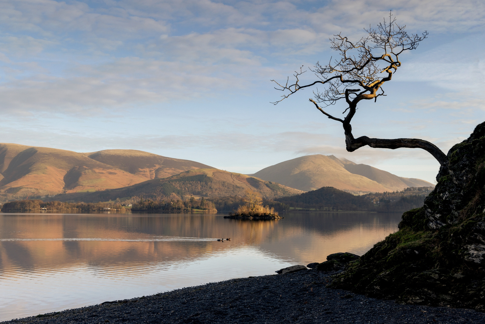 1st INT - Tree Overhanging Blencathra - Jamie Dalrymple
