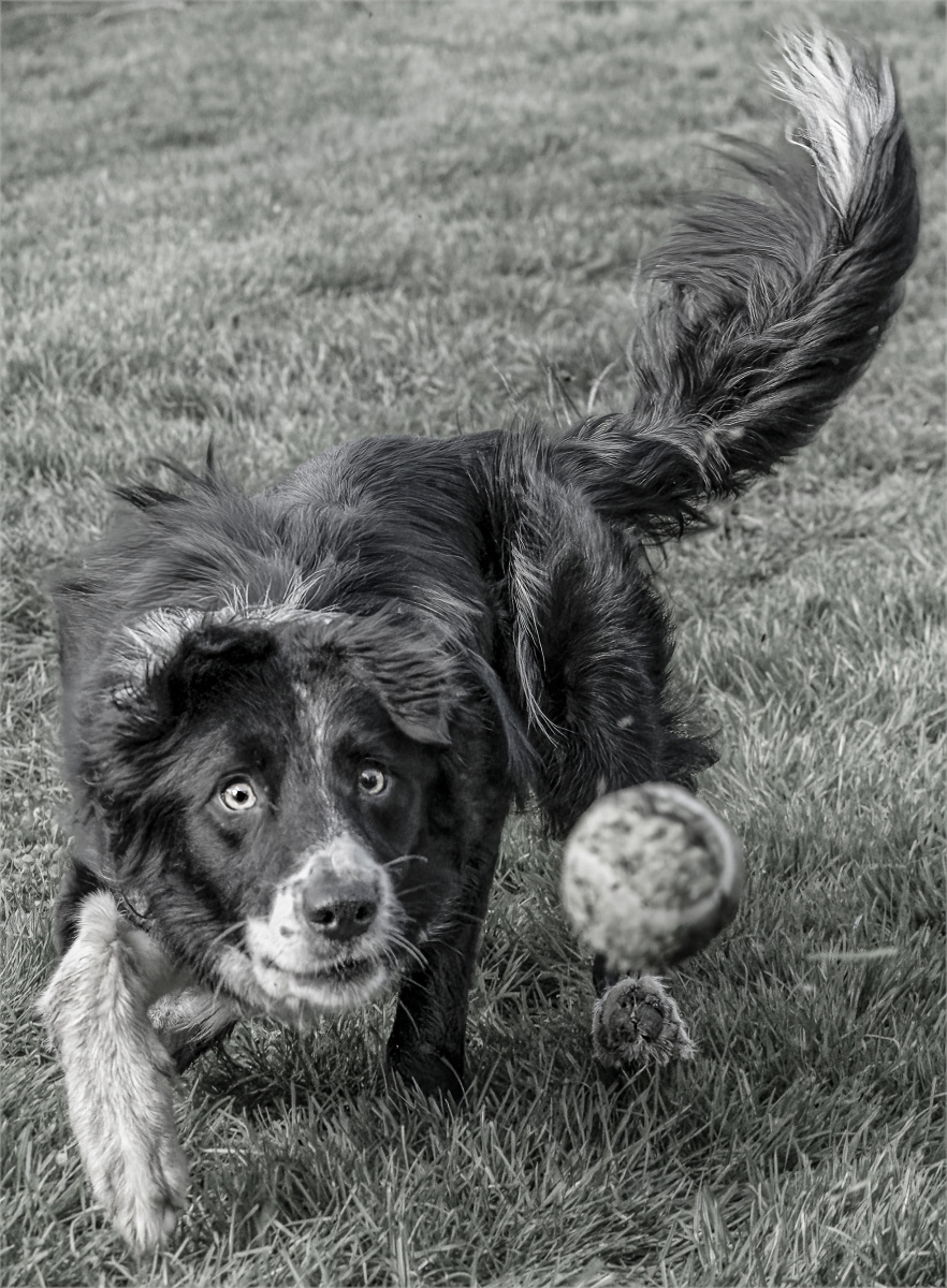 3rd - Eyes on the Ball - Charles Coldrey