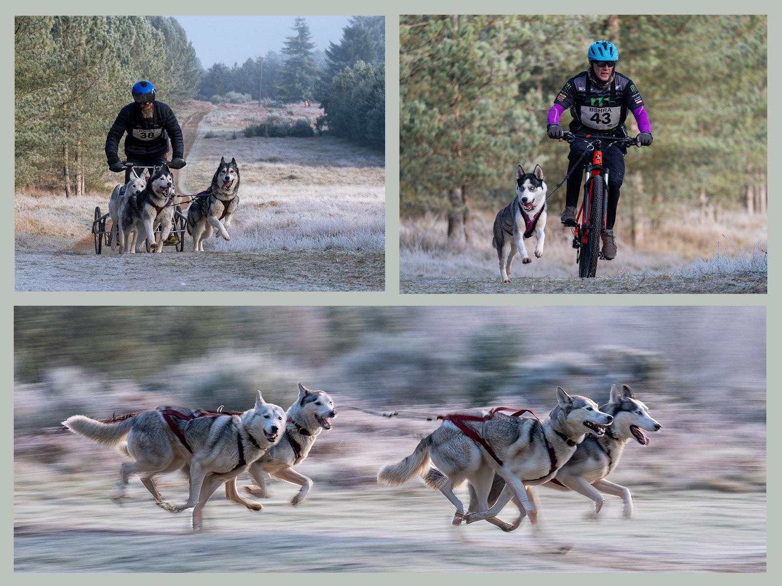 1st - Husky Racing - April Urquhart