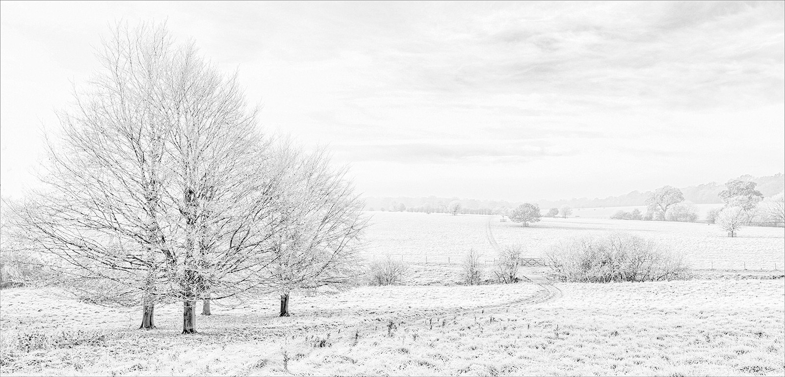 2nd - A Winter Scene - Carol Martin