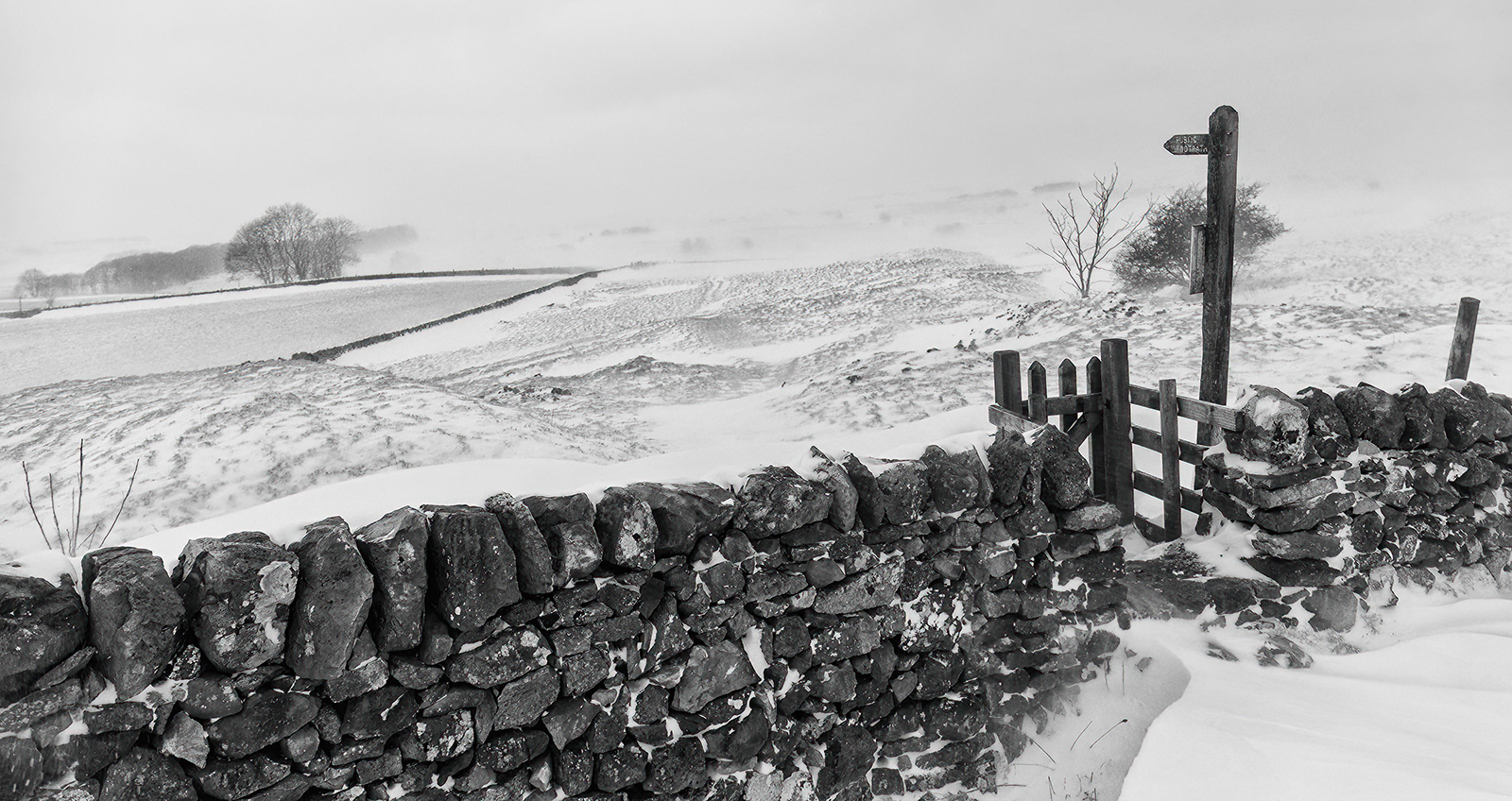 HC / 2nd INT - Winter Walk - Bob Butler