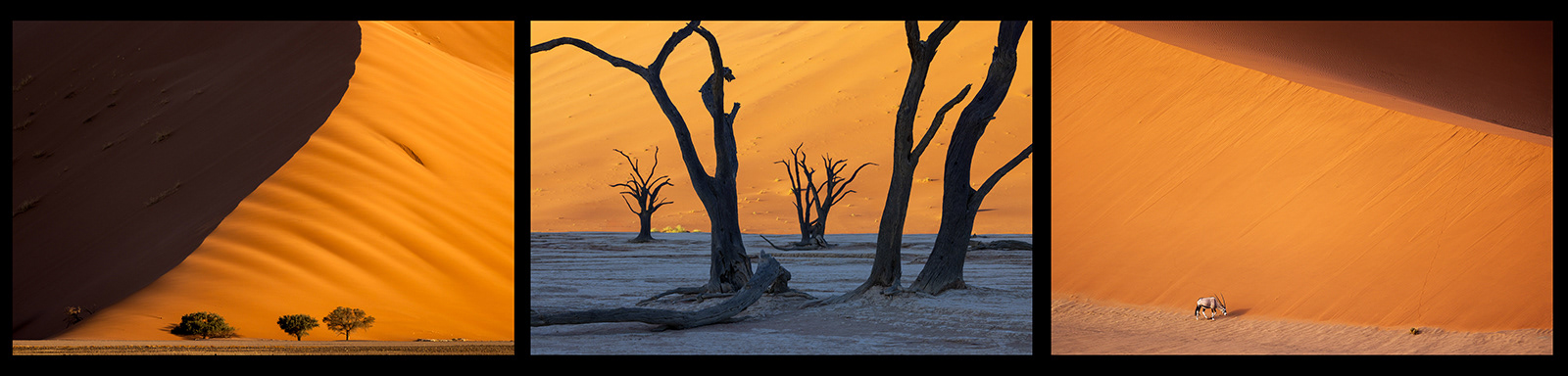 1st - Light and Shadow - Justin Minns