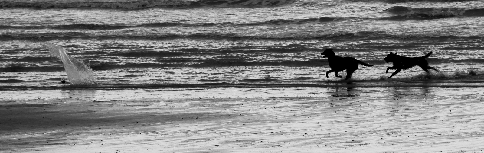 2nd INT - Race for the Ball - Jan Butler