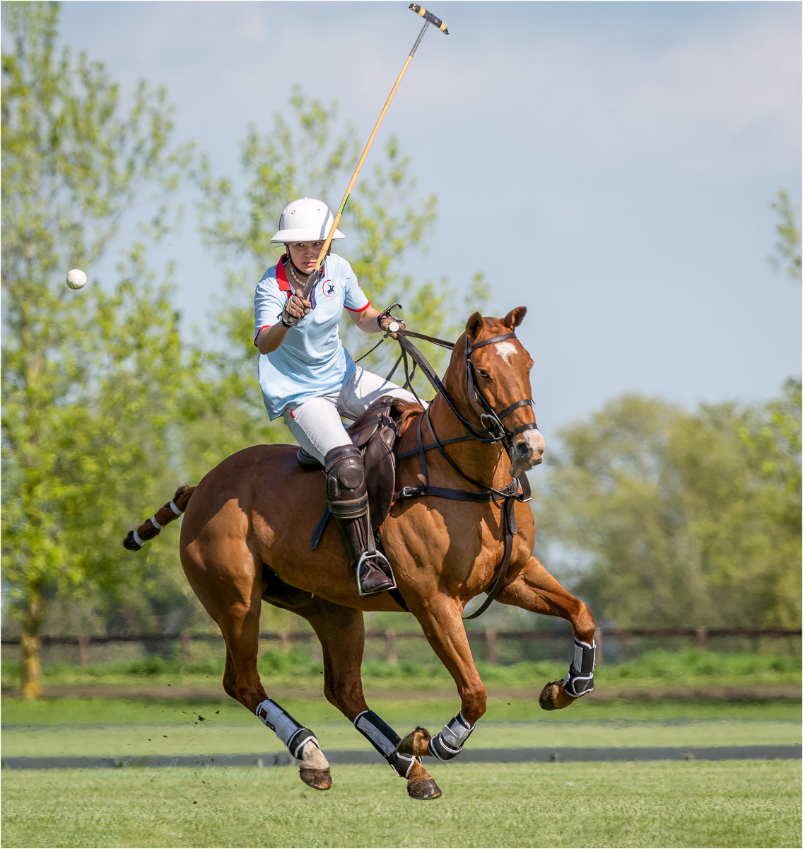 Polo Player
