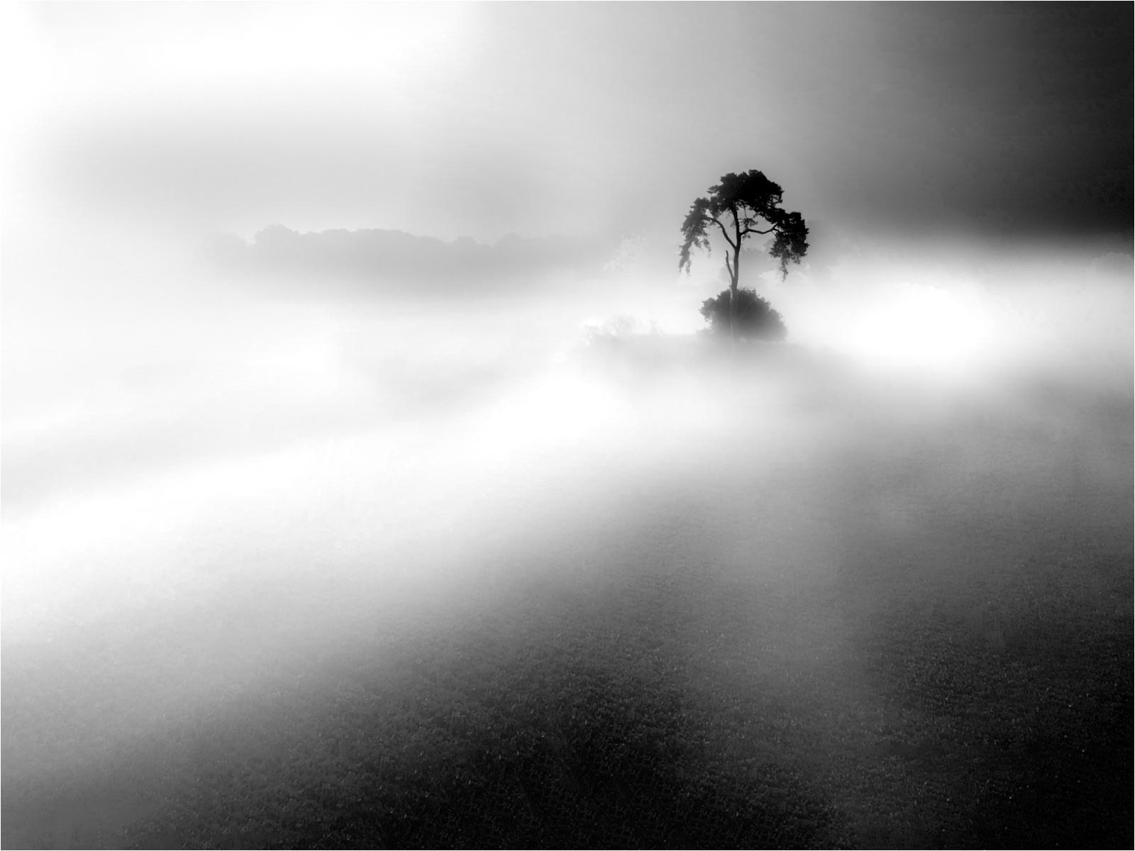 1st - Island in the Misty Dawn - Kev Williams