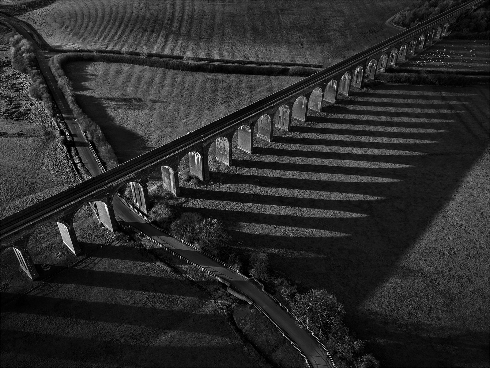 3rd - Shadow Lines - Kevin Williams