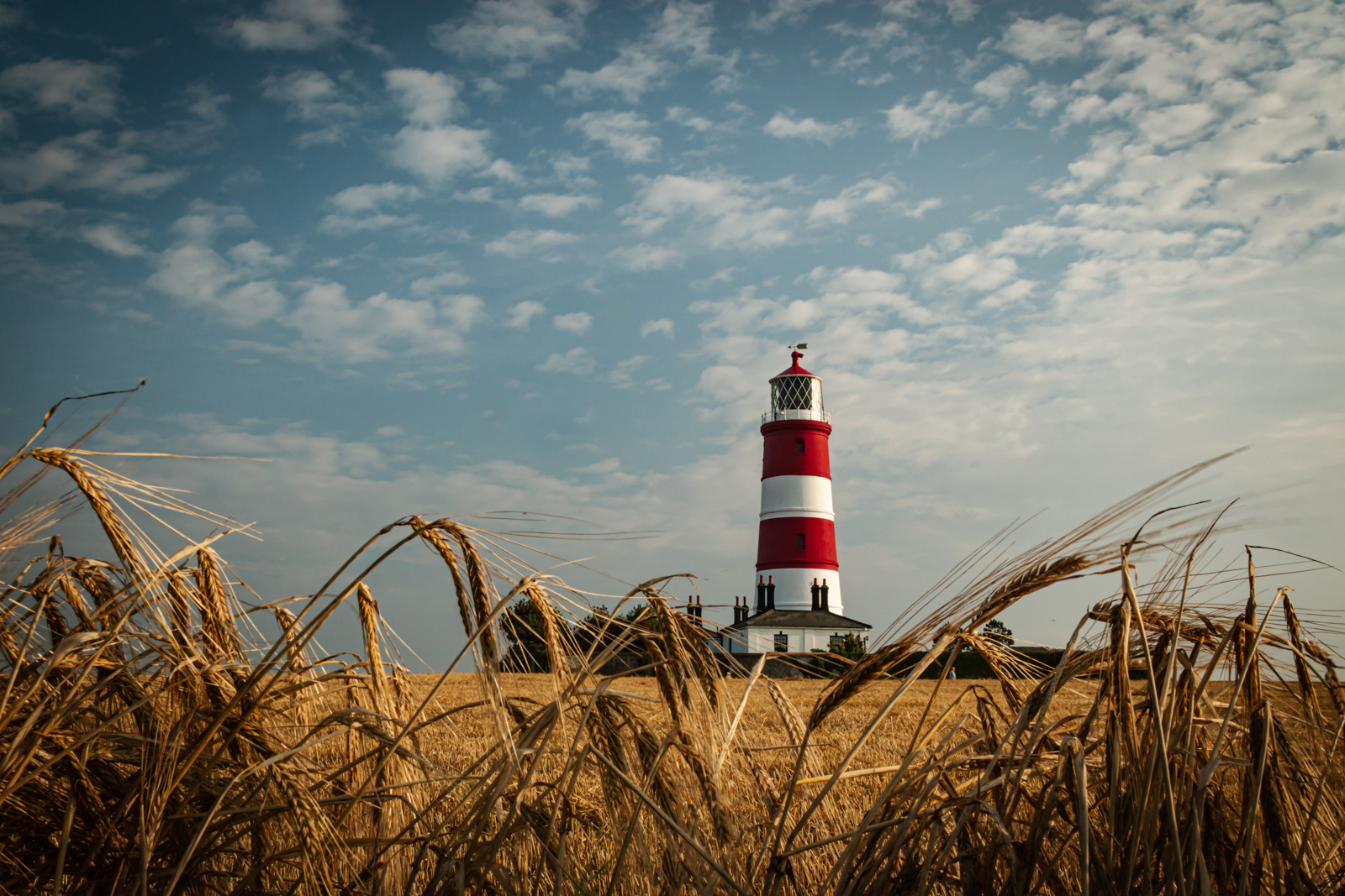 3rd INT - Happisburgh and Harvest - Ronnie Petch