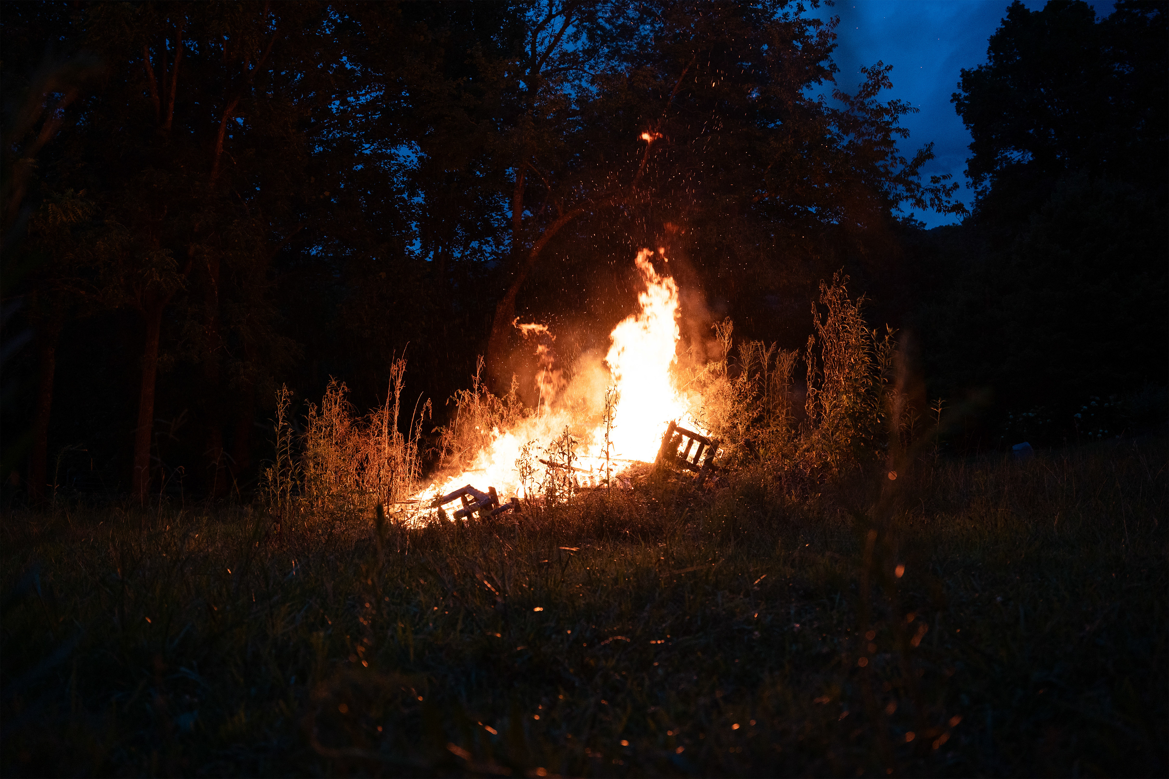 Symmetrical, Prominent Foreground, Natural Light