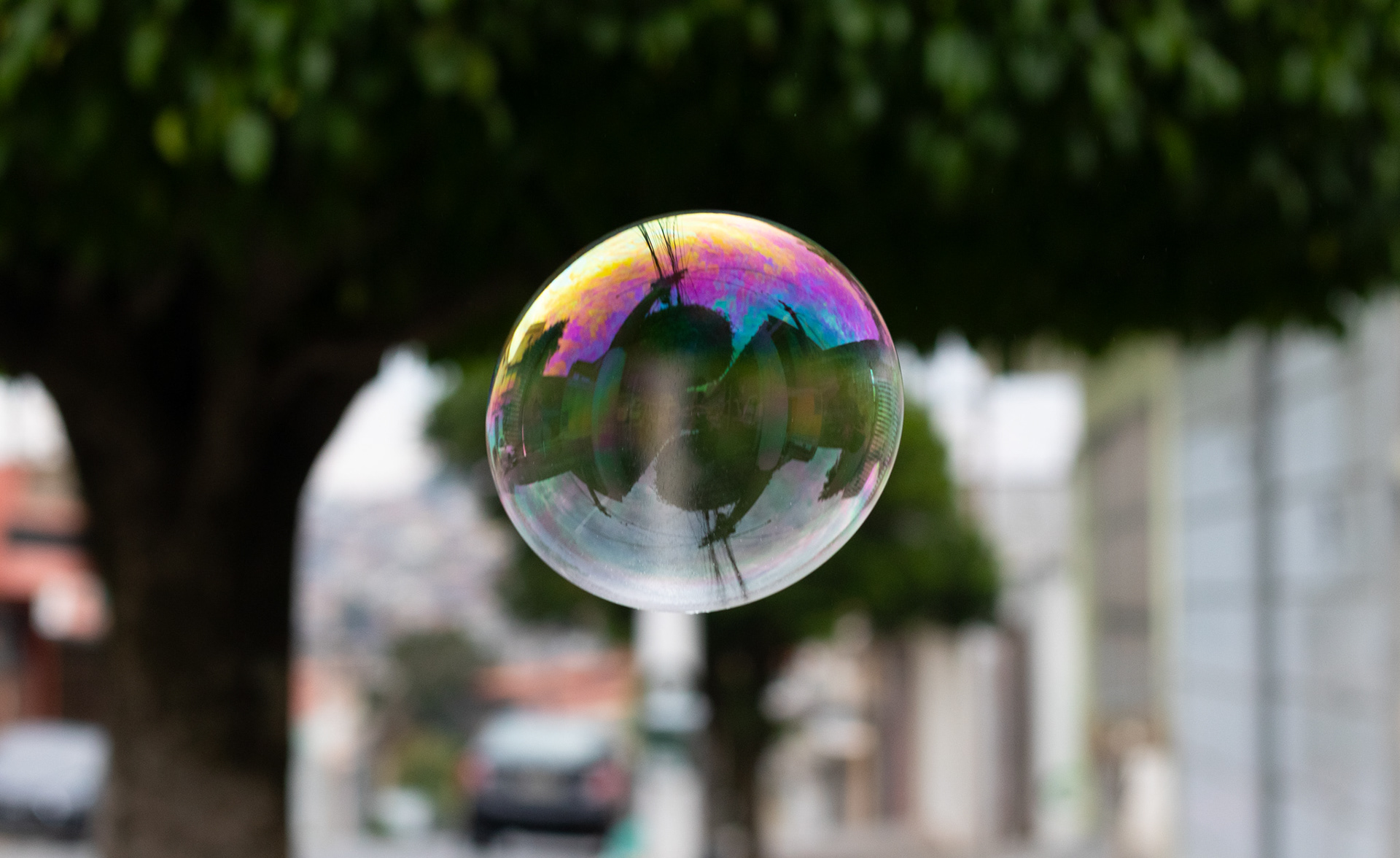 "Pequeno Mundo" (2025) Fotografia científica
