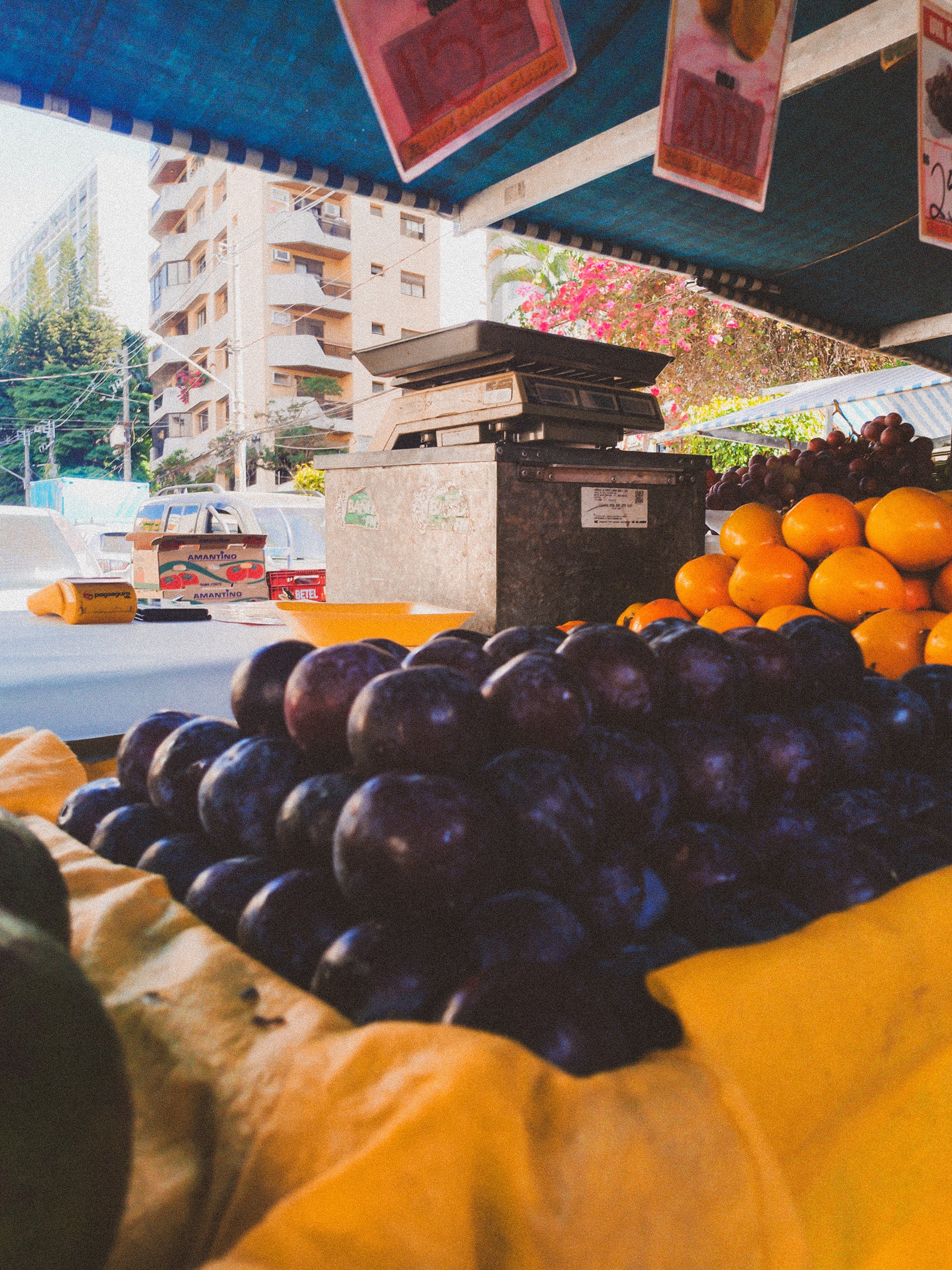 Feira-livre da Aclimação