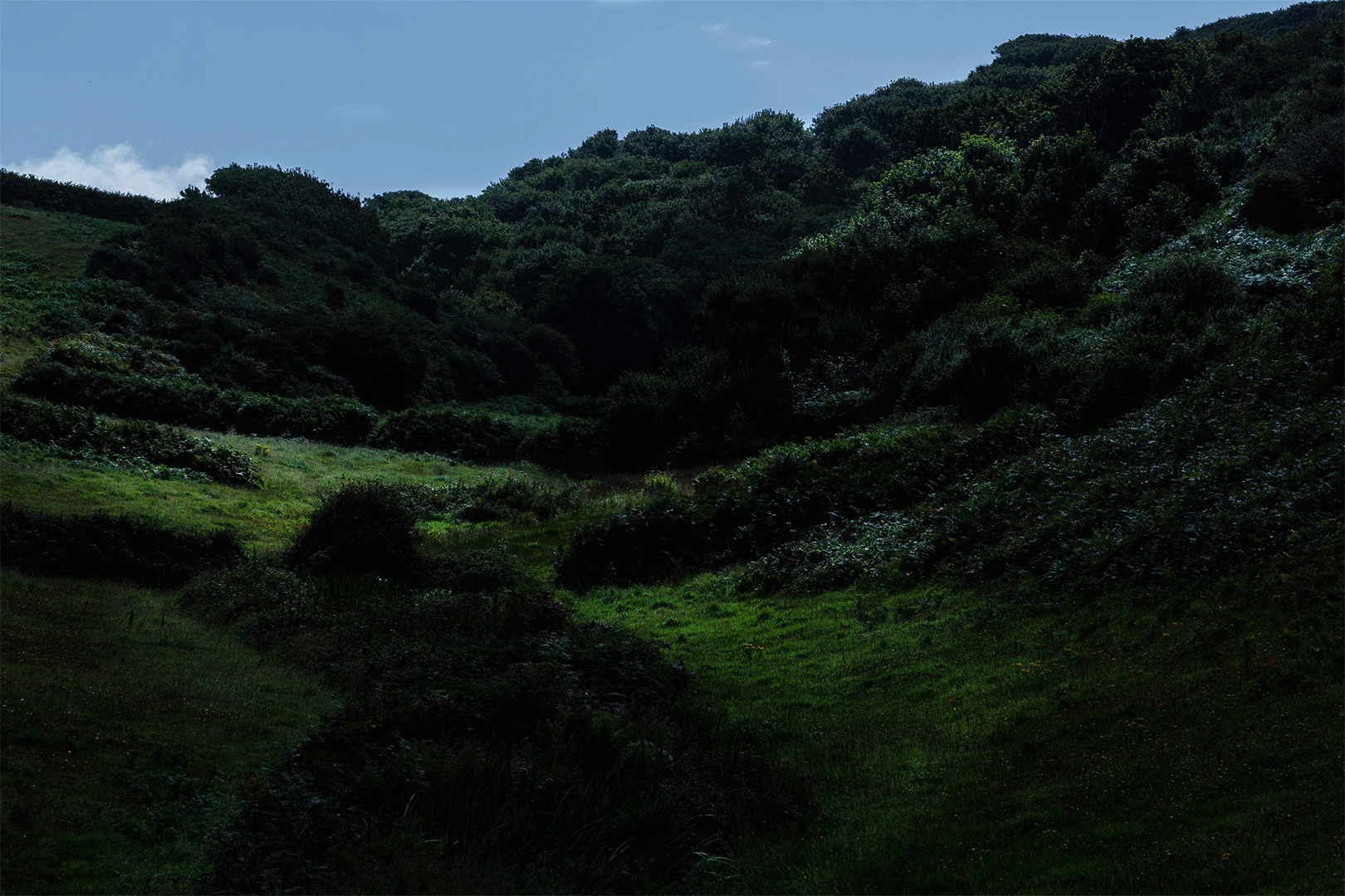 Nord Cotentin