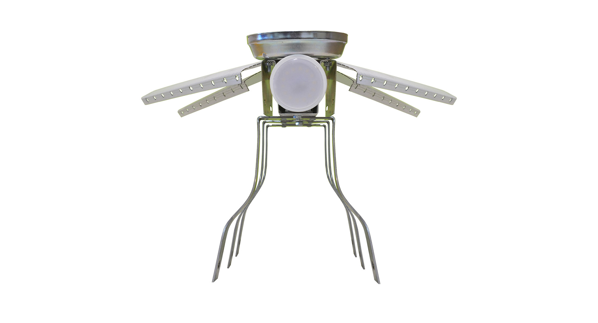 - Capota Ioana design from INSECT LAMPS workshop -