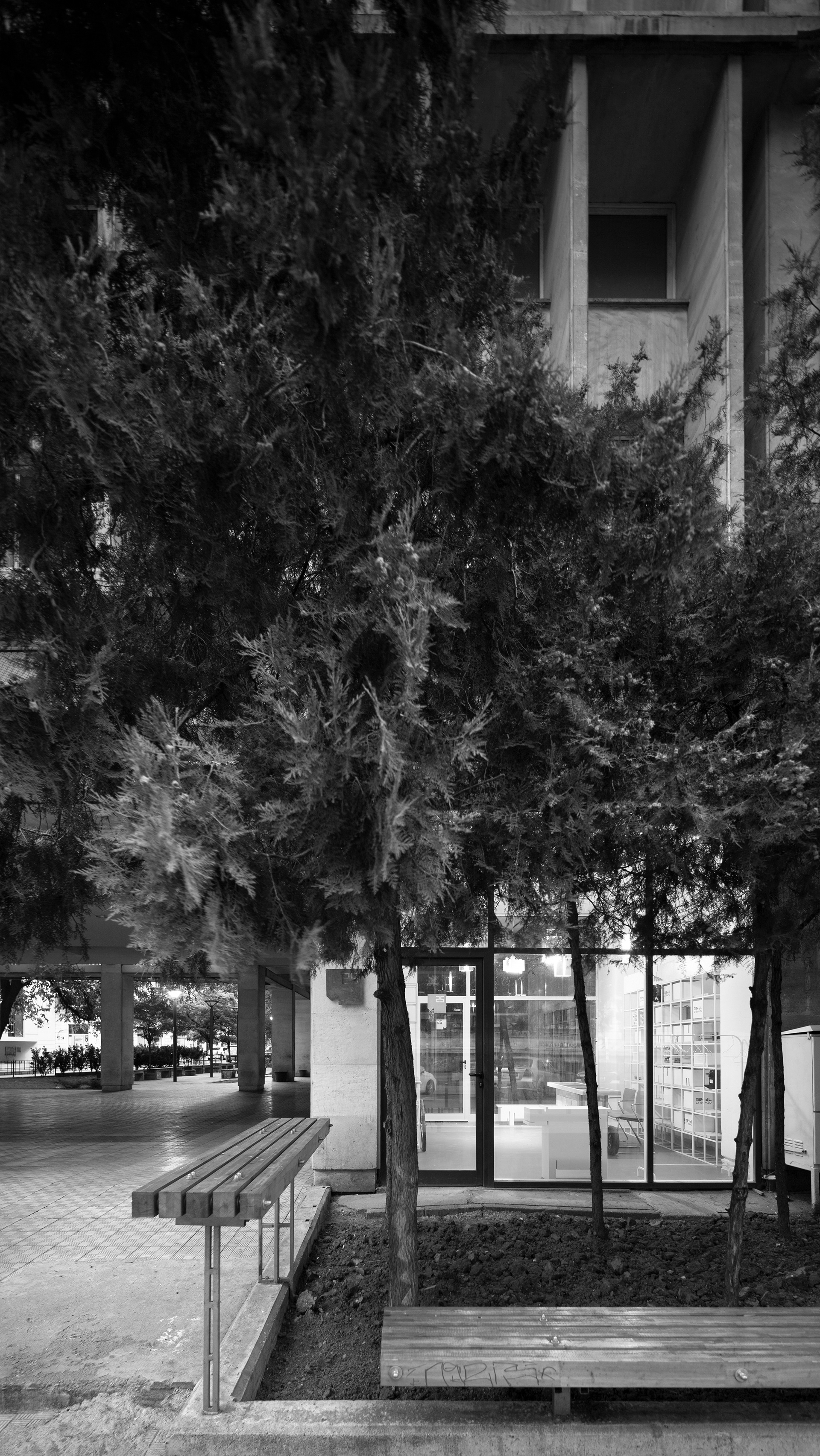 - view from garden // photo: Andrei Margulescu, teacher at UAUIM -