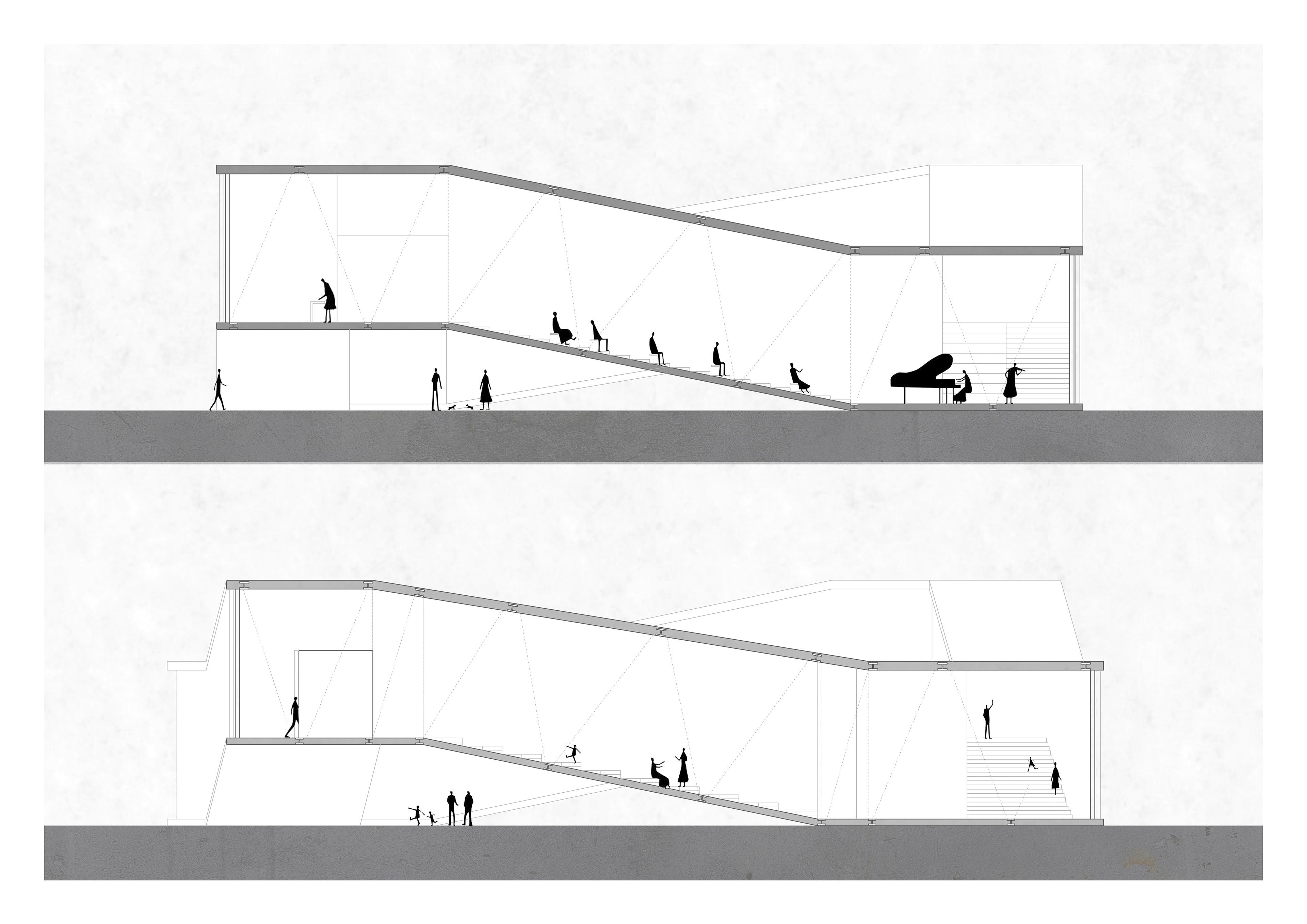 - longitudinal sections -