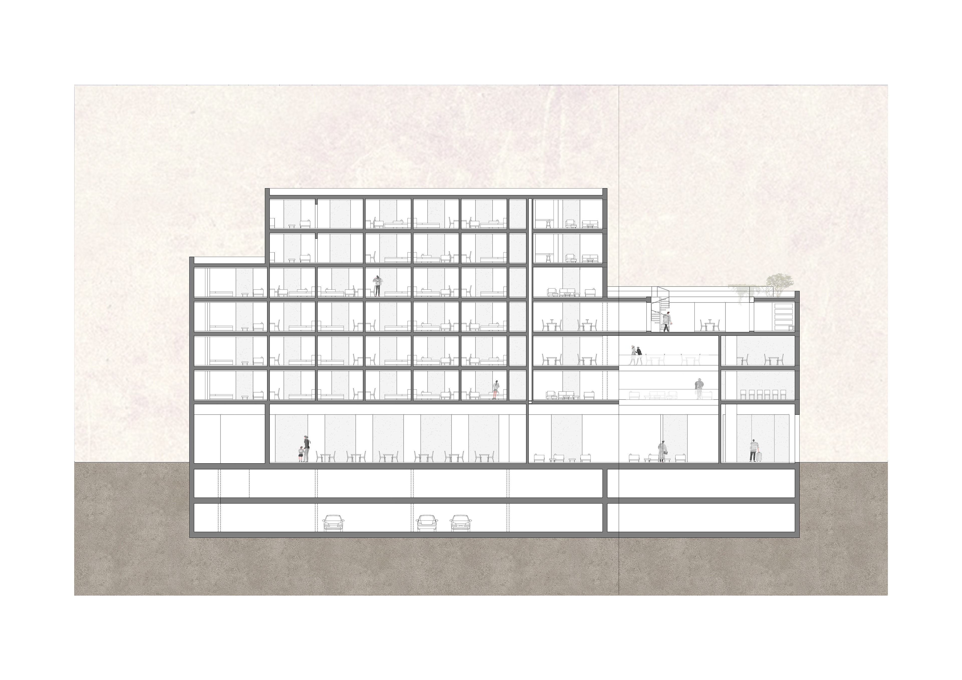 - section // lobby, restaurant & common space -