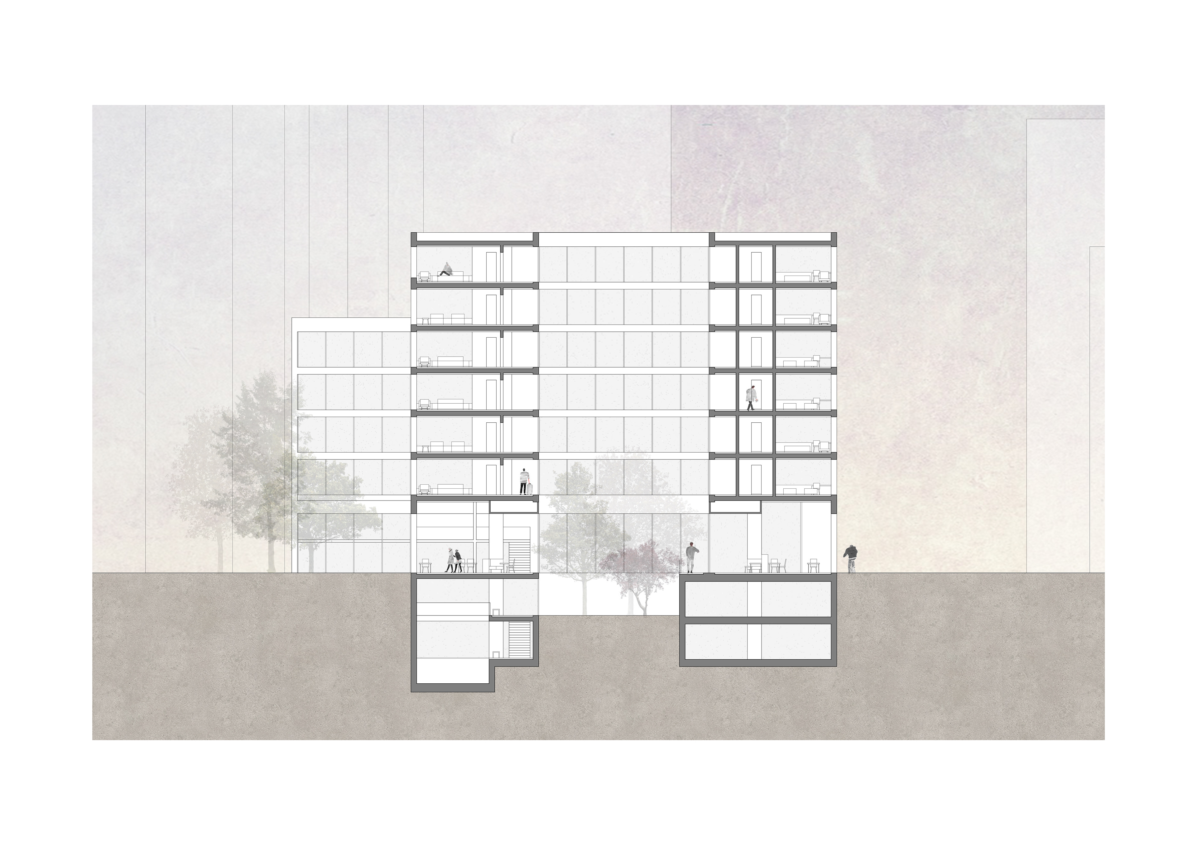 - section // interior garden -