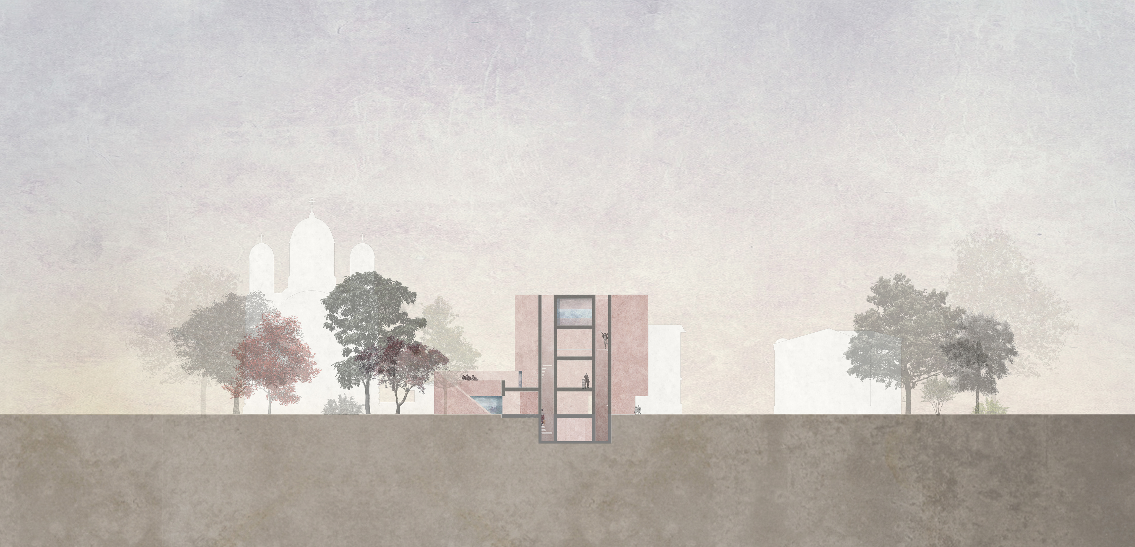 - cross section -