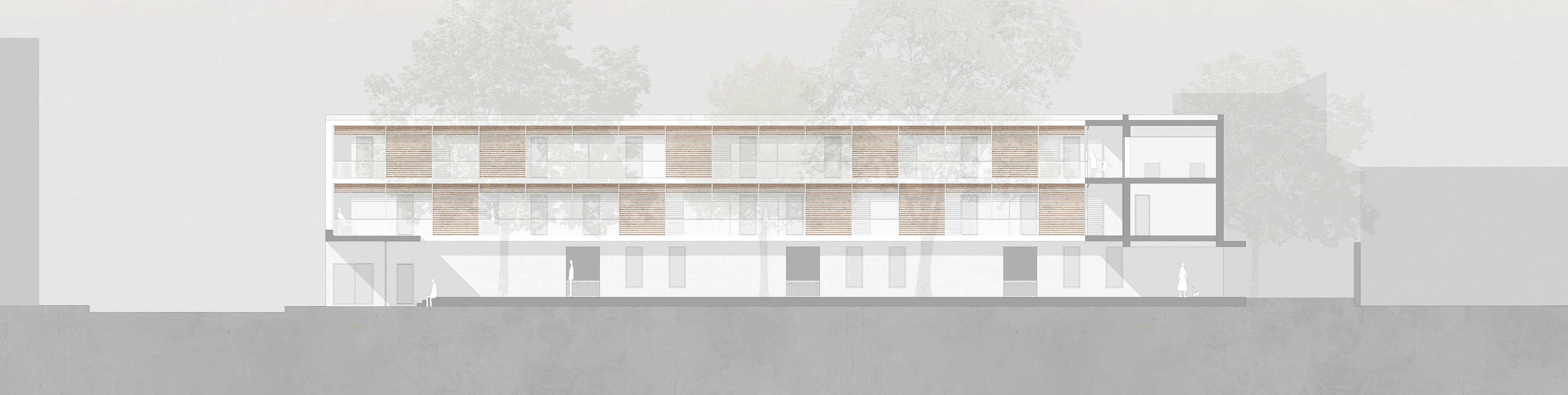 - section // common inner courtyard -