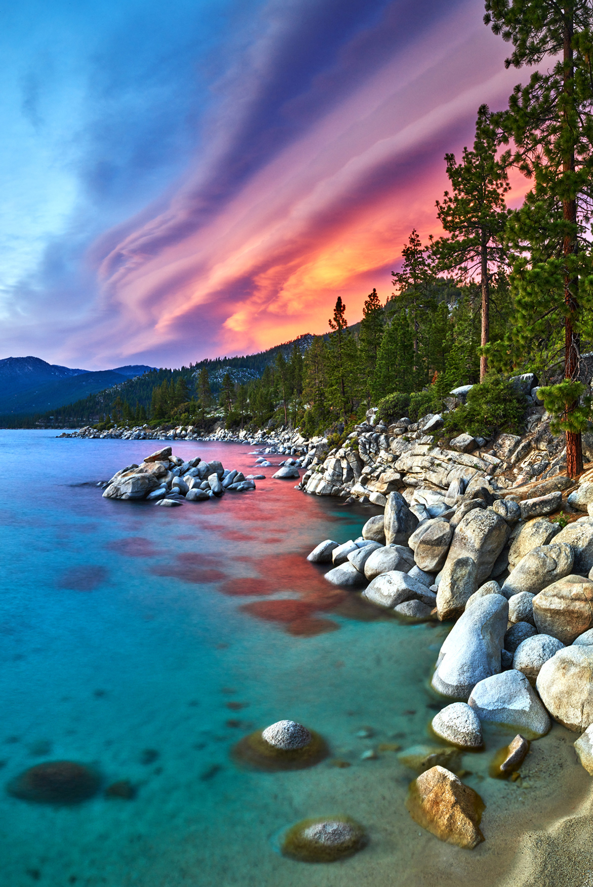 Michael Eadington Photography