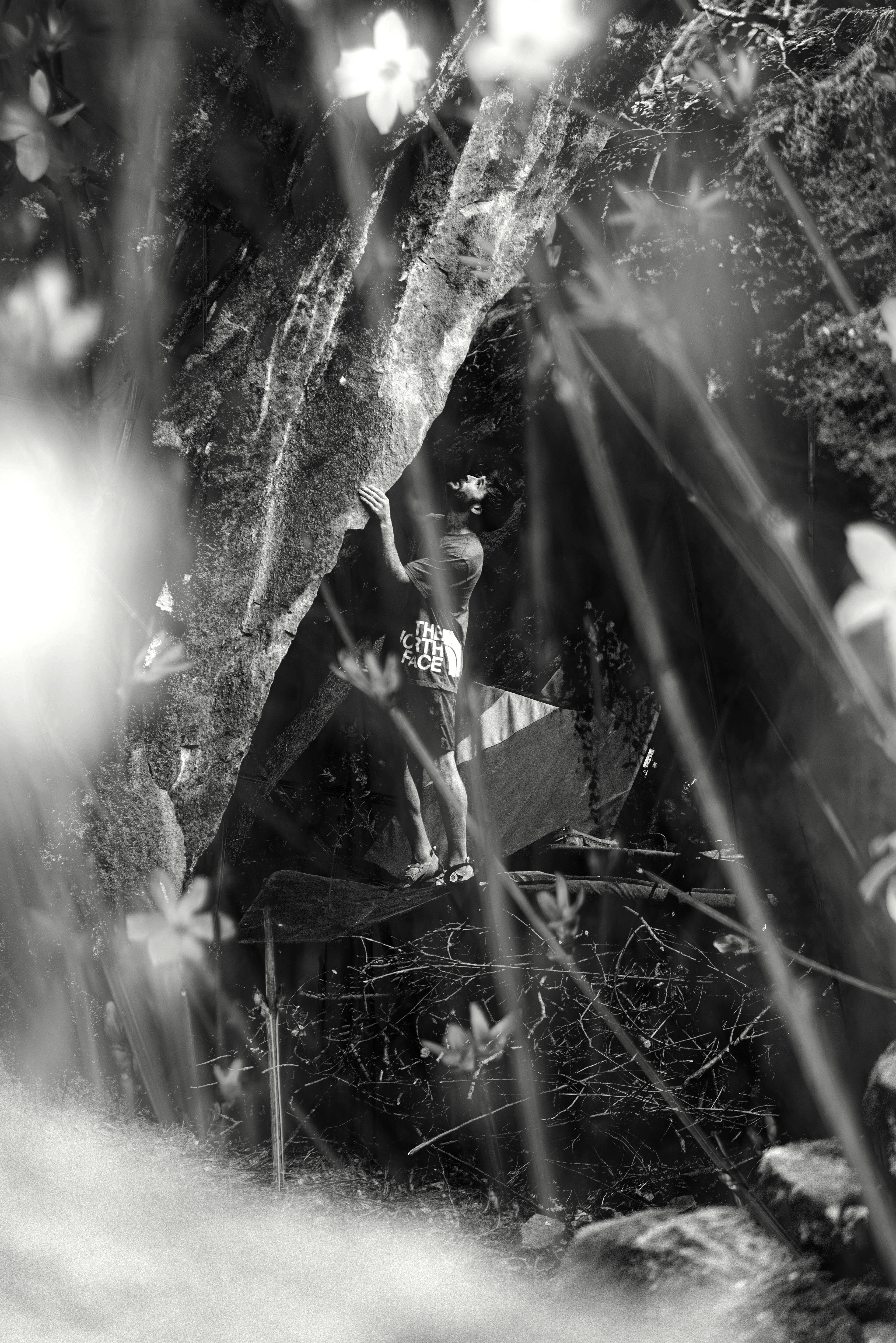 The North Face - Spring 25'