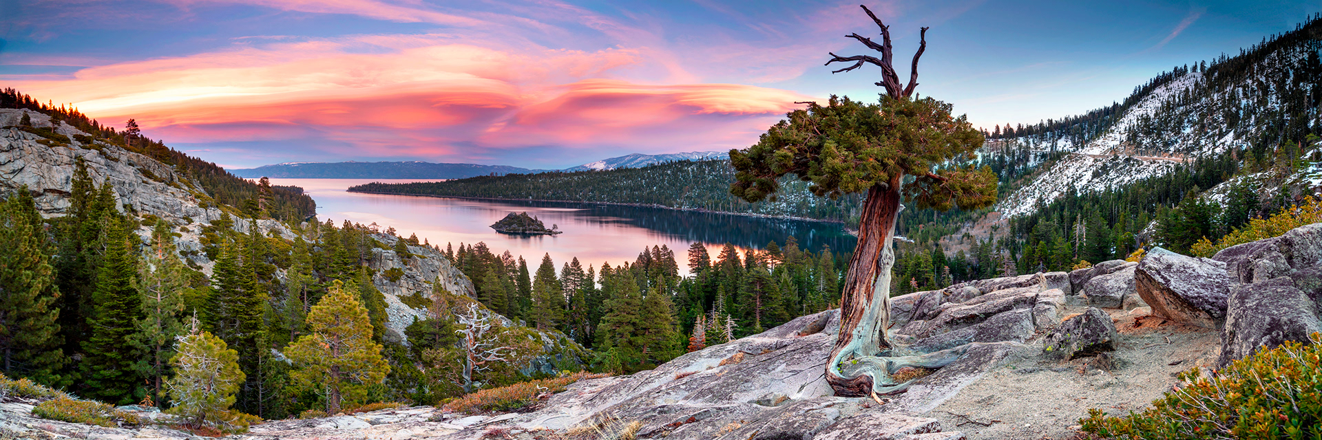 Jon Thompson Photography