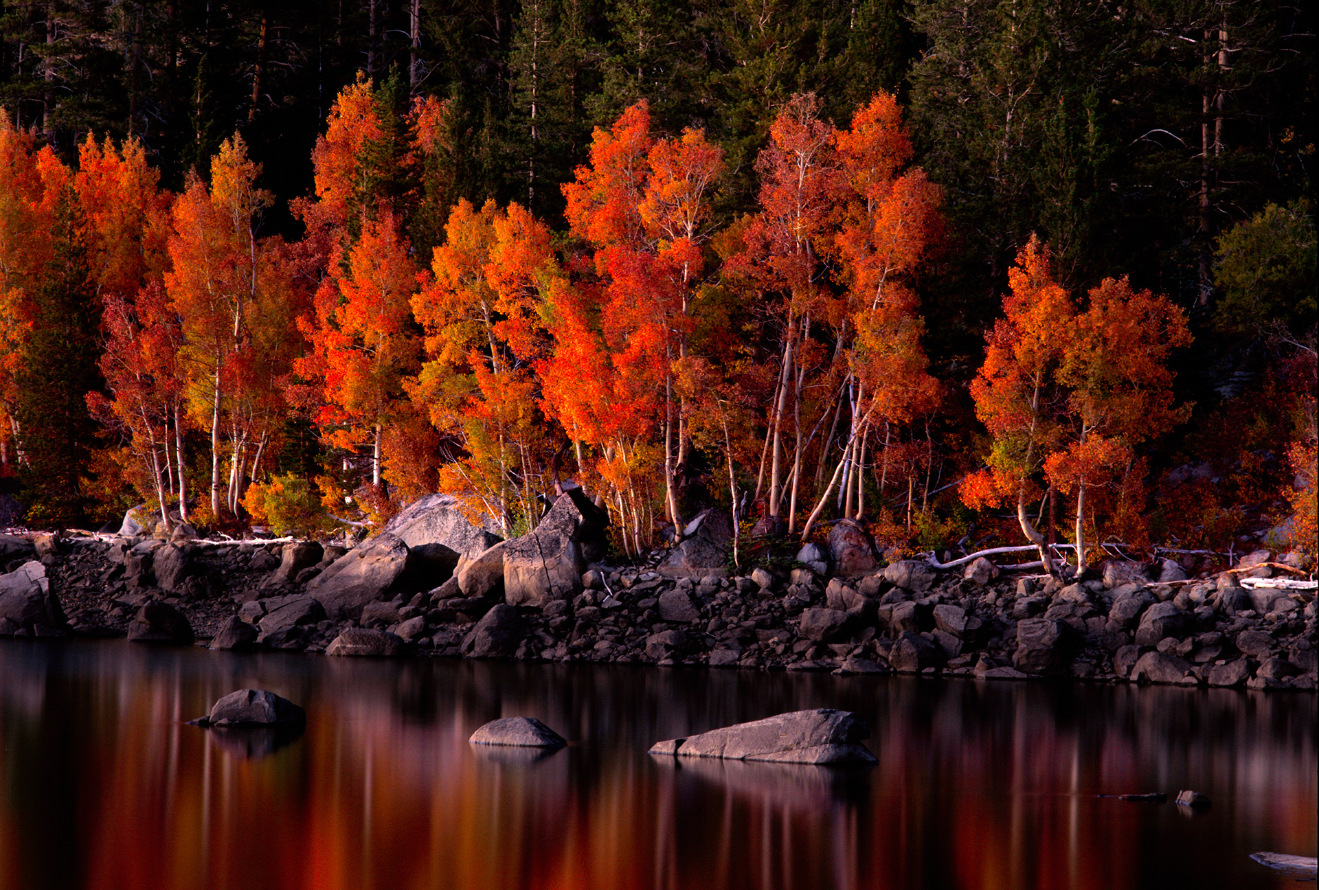 Michael Eadington Photography