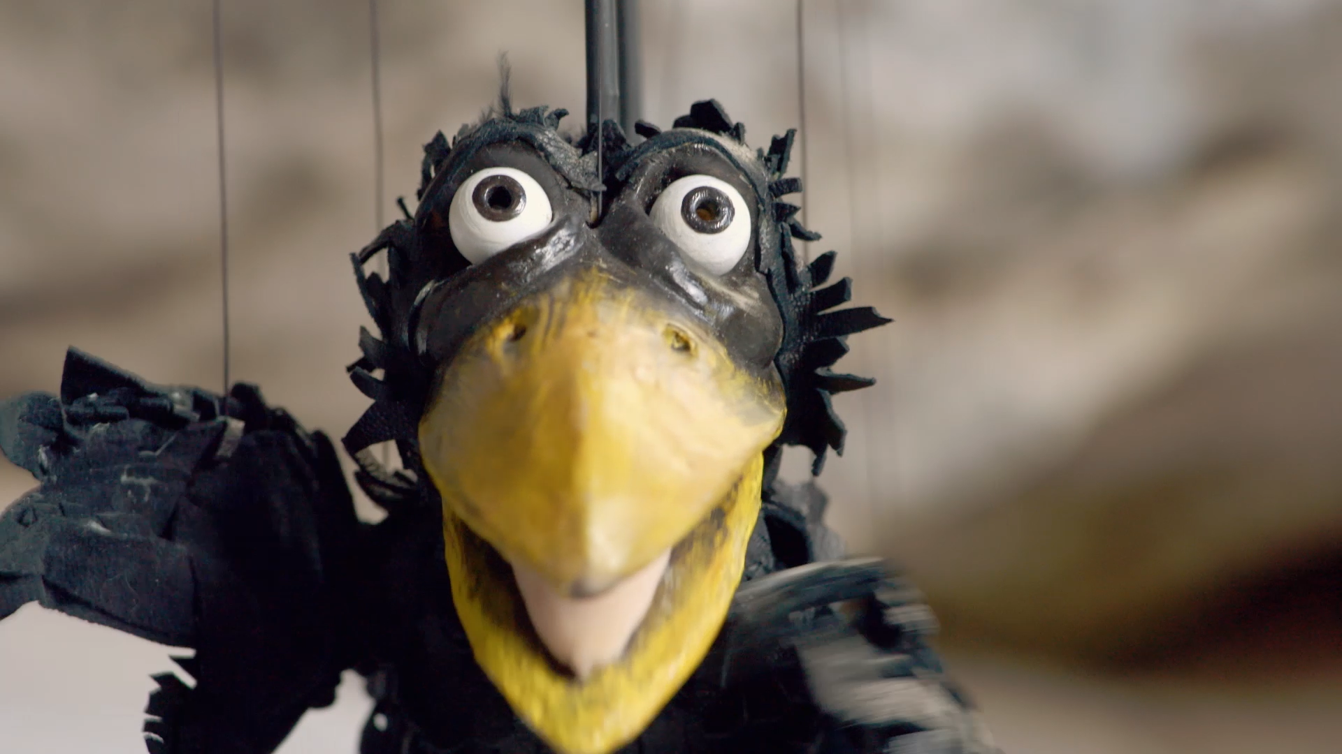 © AVANGA Filmproduktion GmbH & Co. KG | DoP: Erik Schimschar