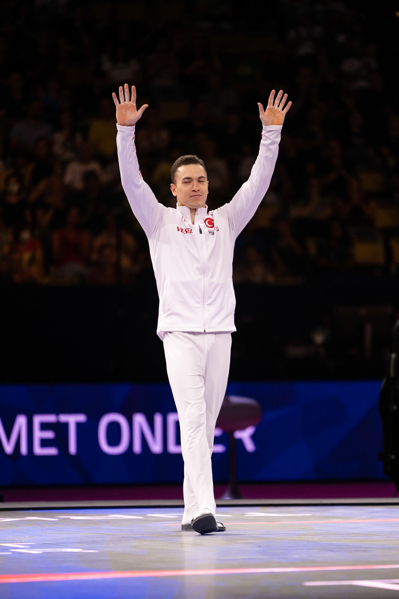 Senior Men Apparatus finals