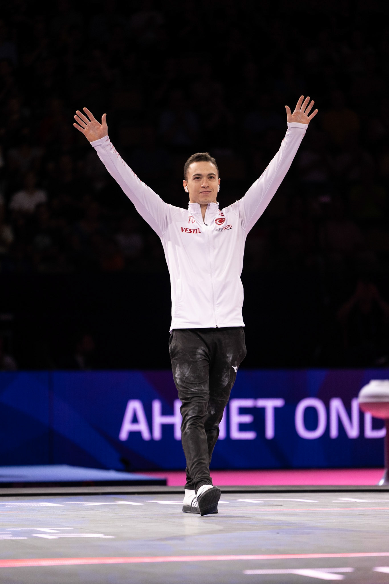 Senior Men Apparatus finals