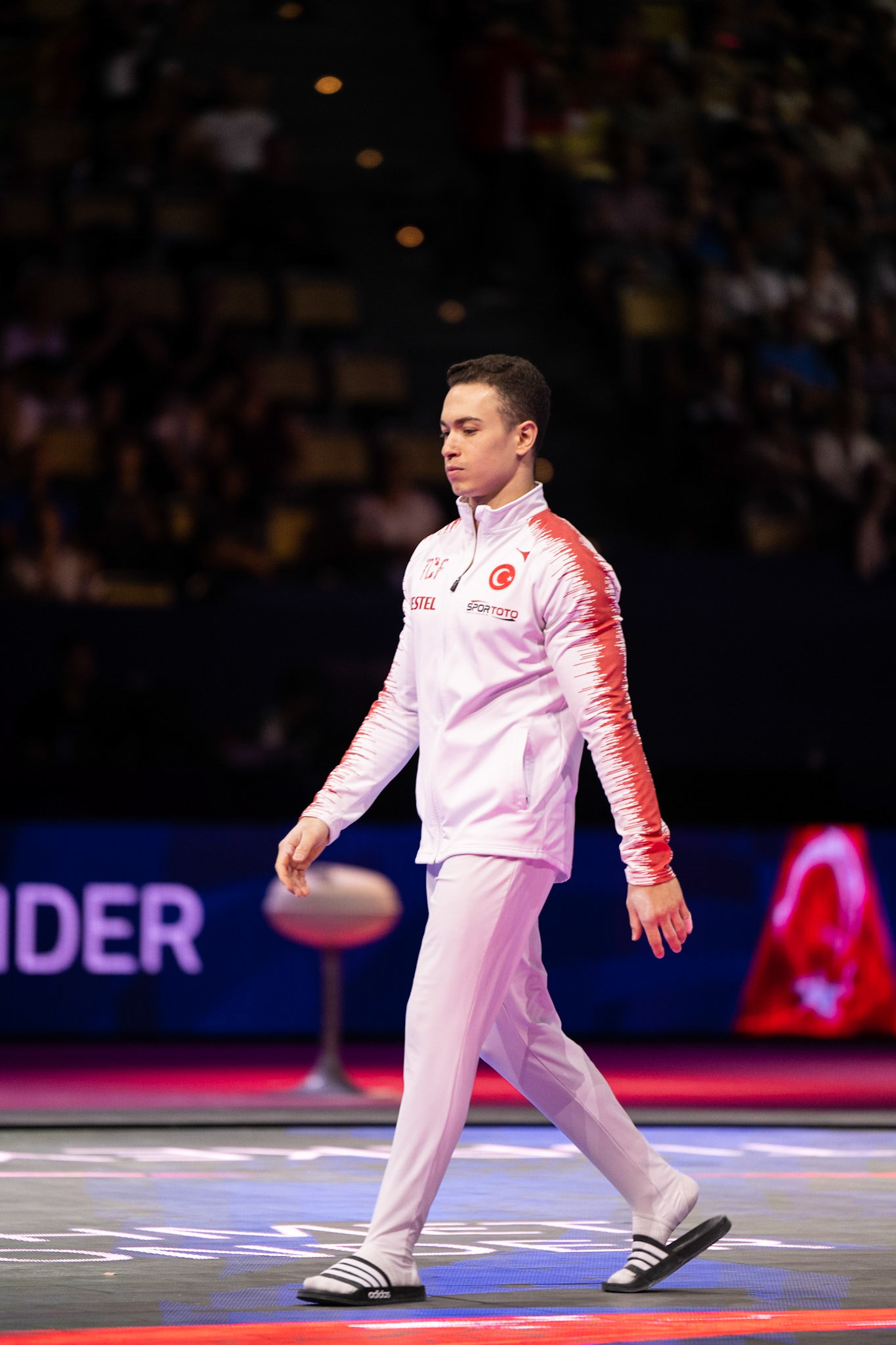 Senior Men Apparatus finals