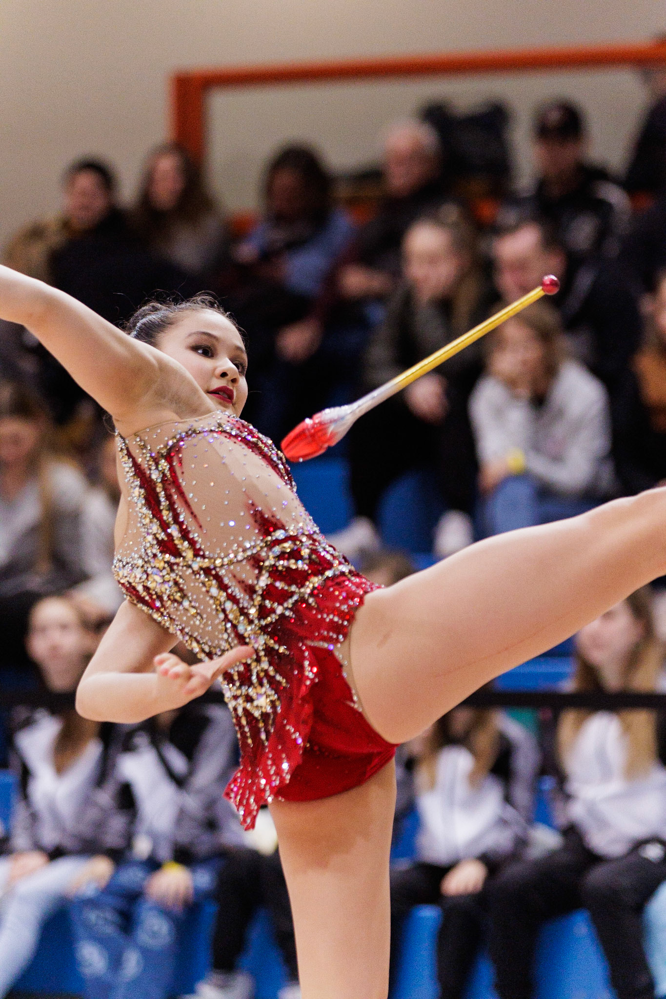Gymnastik International, All-around Senior gymnasts Individual, ClubsDepicted: Lauren GrünigerPhoto taken in Fellbach, DEU on 2023-03-04Photo credits should read: Norman SeibertCanon EOS R3, EF70-200mm f/2.8L IS II USM¹⁄₁₂₅₀ Sek. bei ƒ / 2,8File: _V7A3304-2.CR3