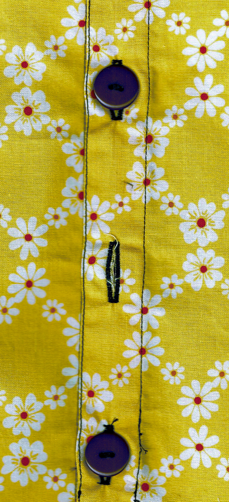 Button Holes