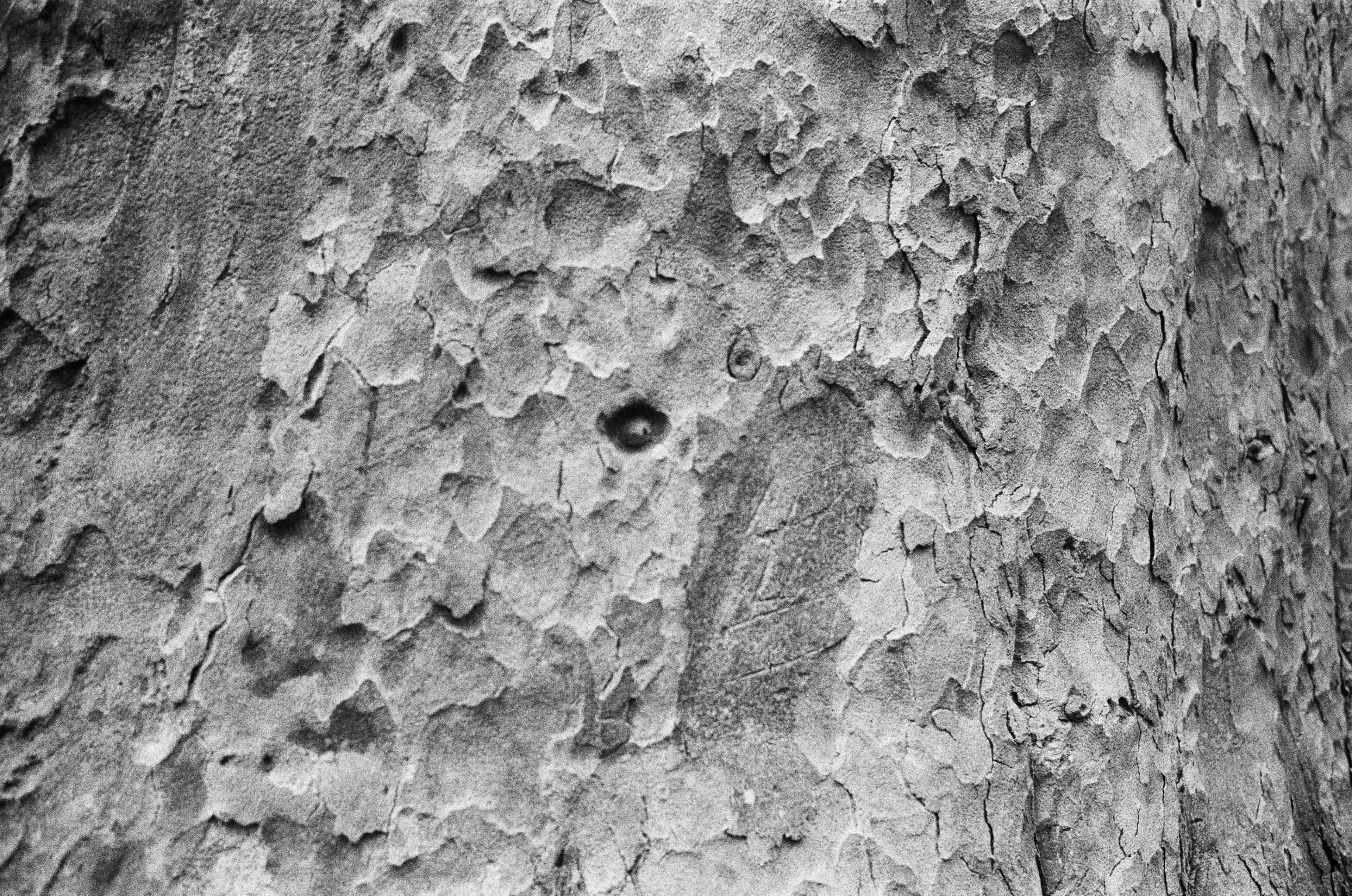 Geldrop, Netherlands '24 / Leitz Minolta CL | Tri-X 400