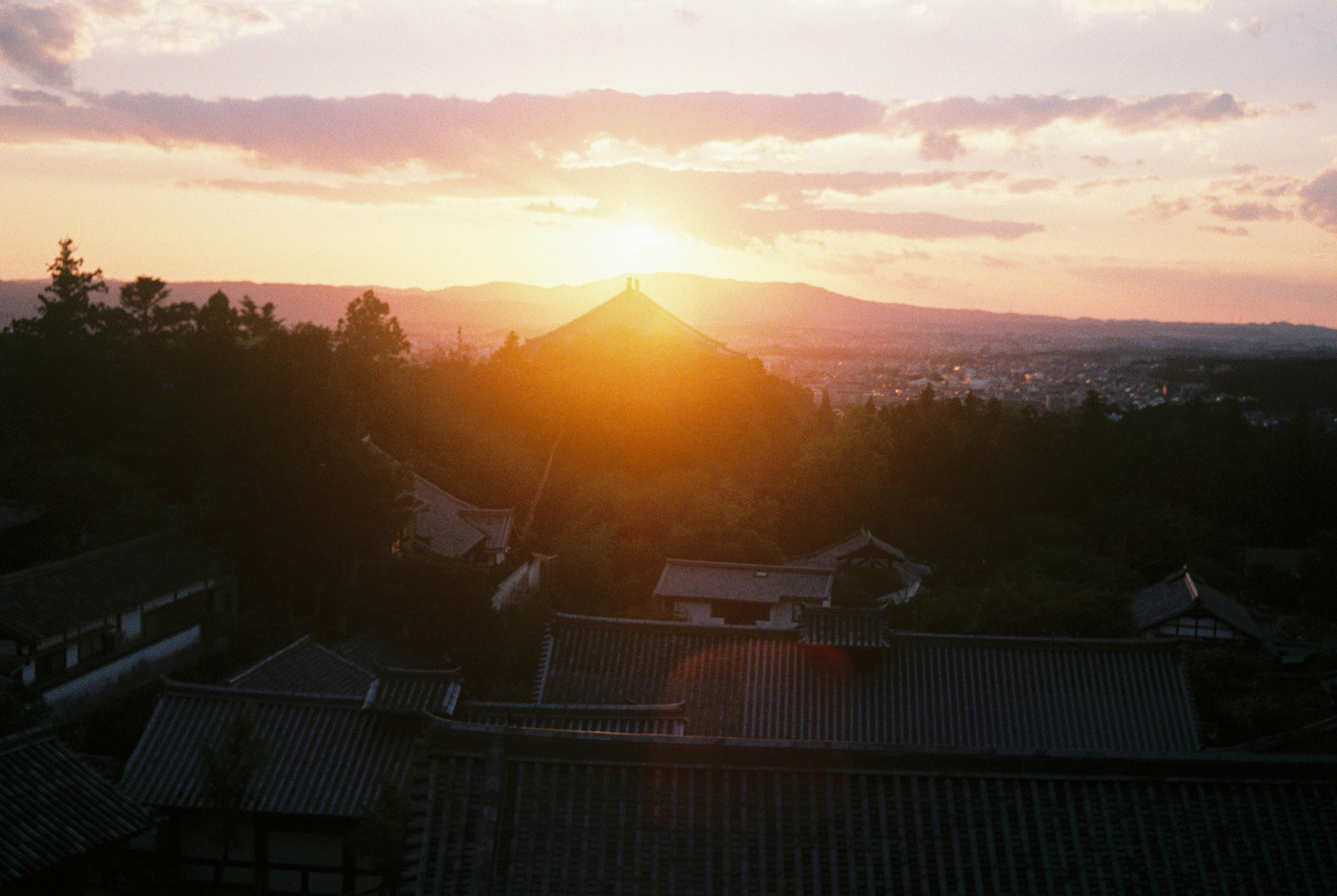 Nara, Japan '18 / Olympus Trip 35 | Superia Premium 400