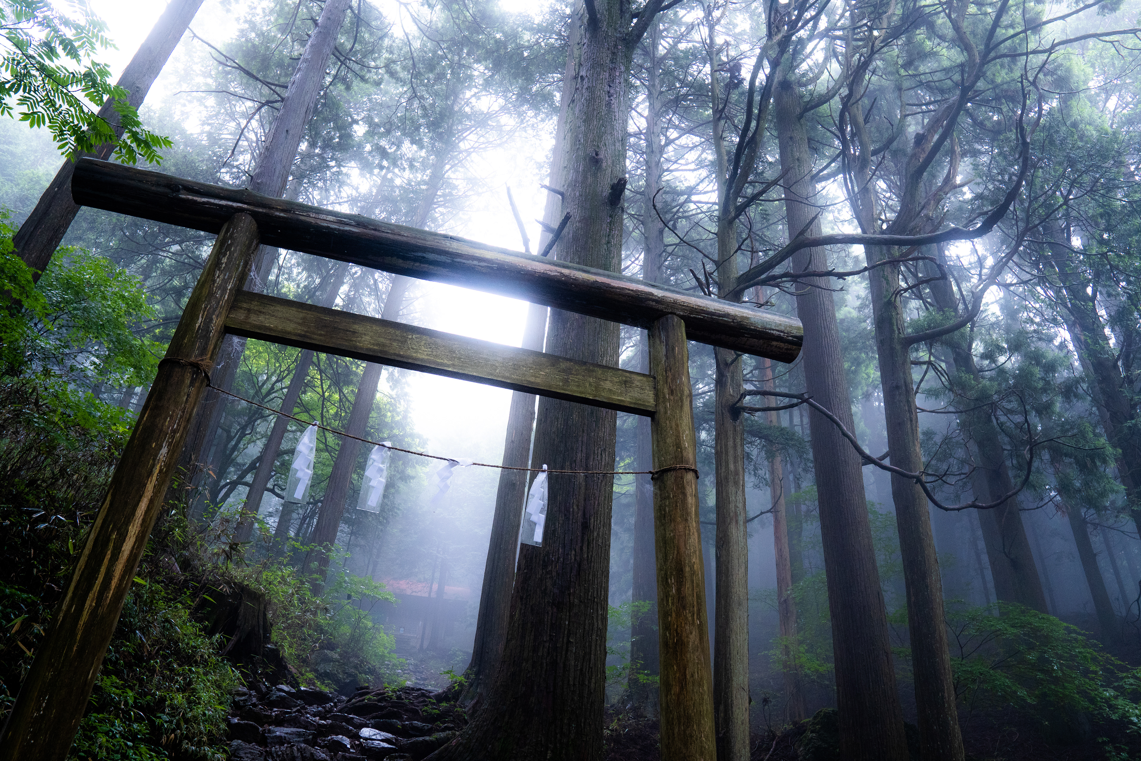 2022 ヤマケイフォトコンテスト 自由部門 佳作 入賞作品